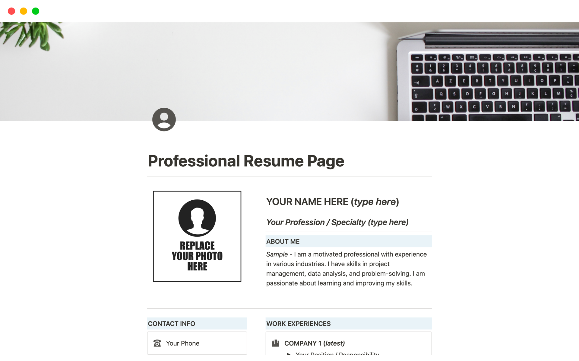A template preview for Notion Professional Resume Page