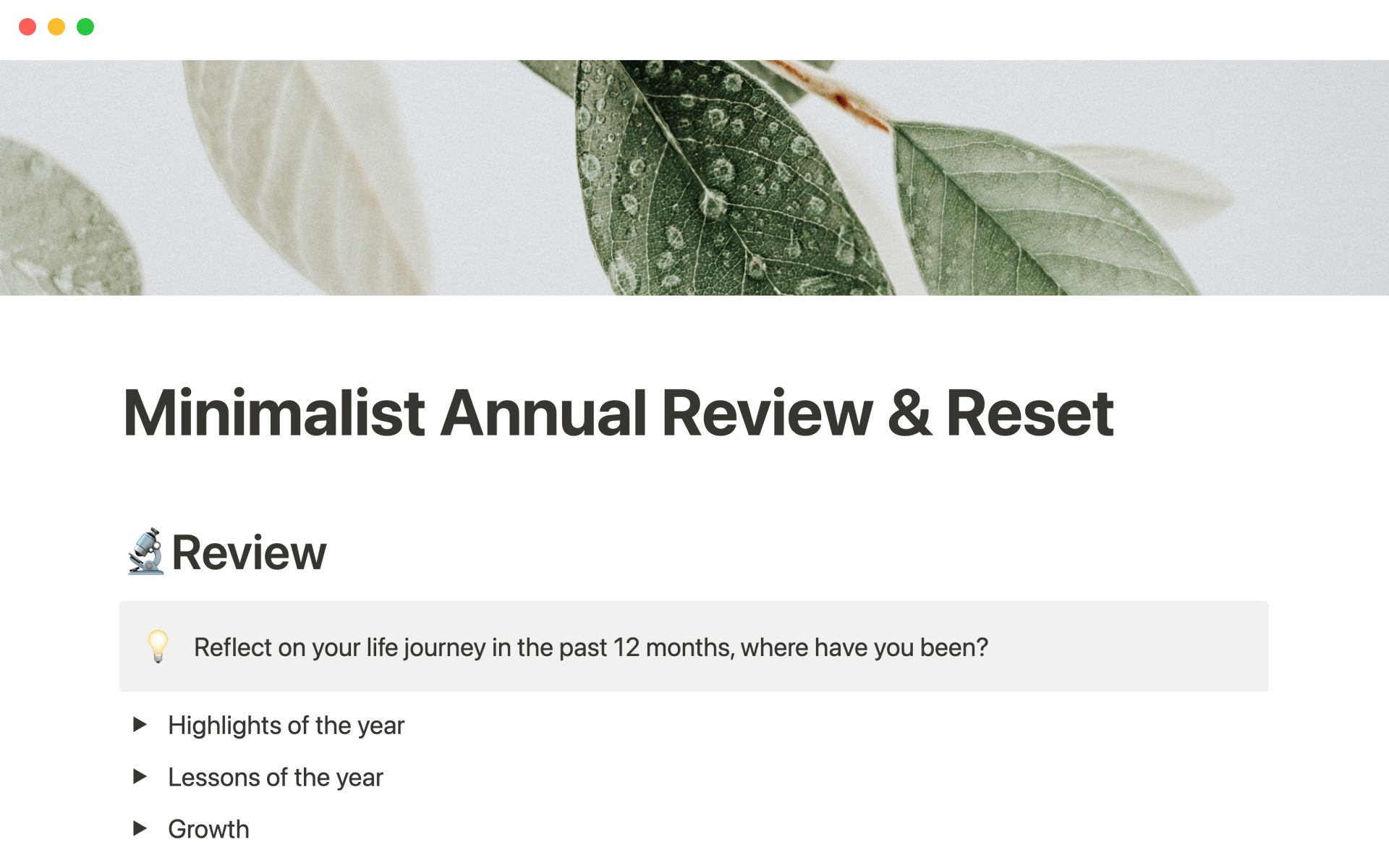 A template preview for Minimalist annual review and reset