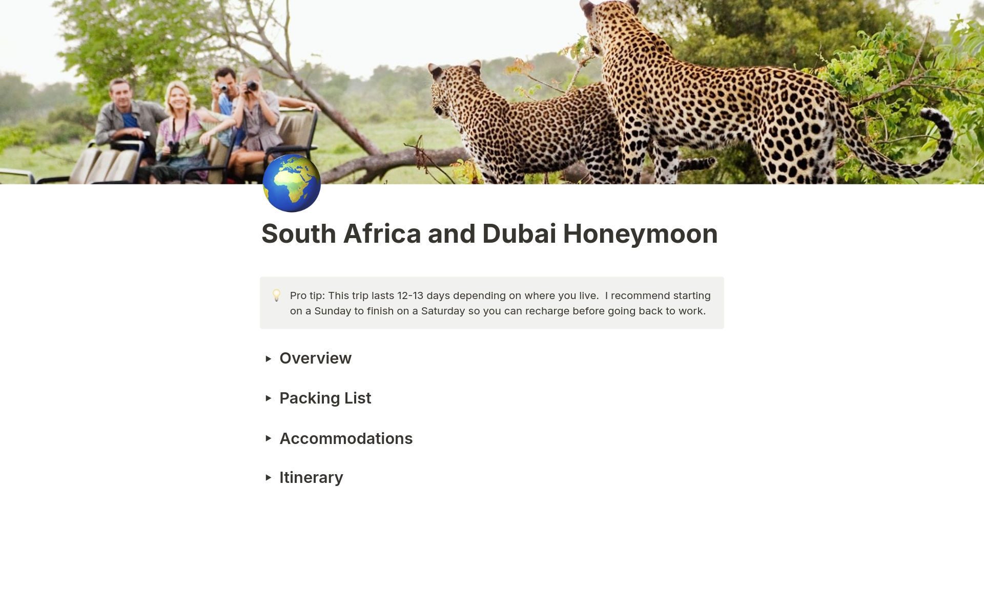 A template preview for South Africa and Dubai Honeymoon