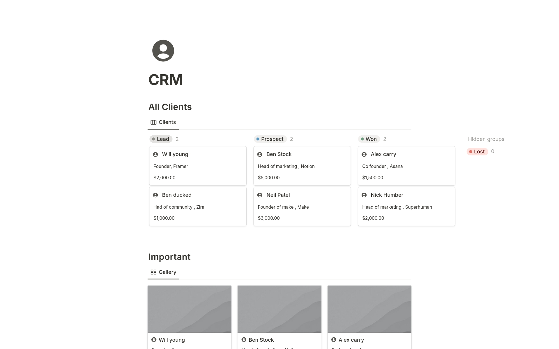 A template preview for CRM Dashboard 