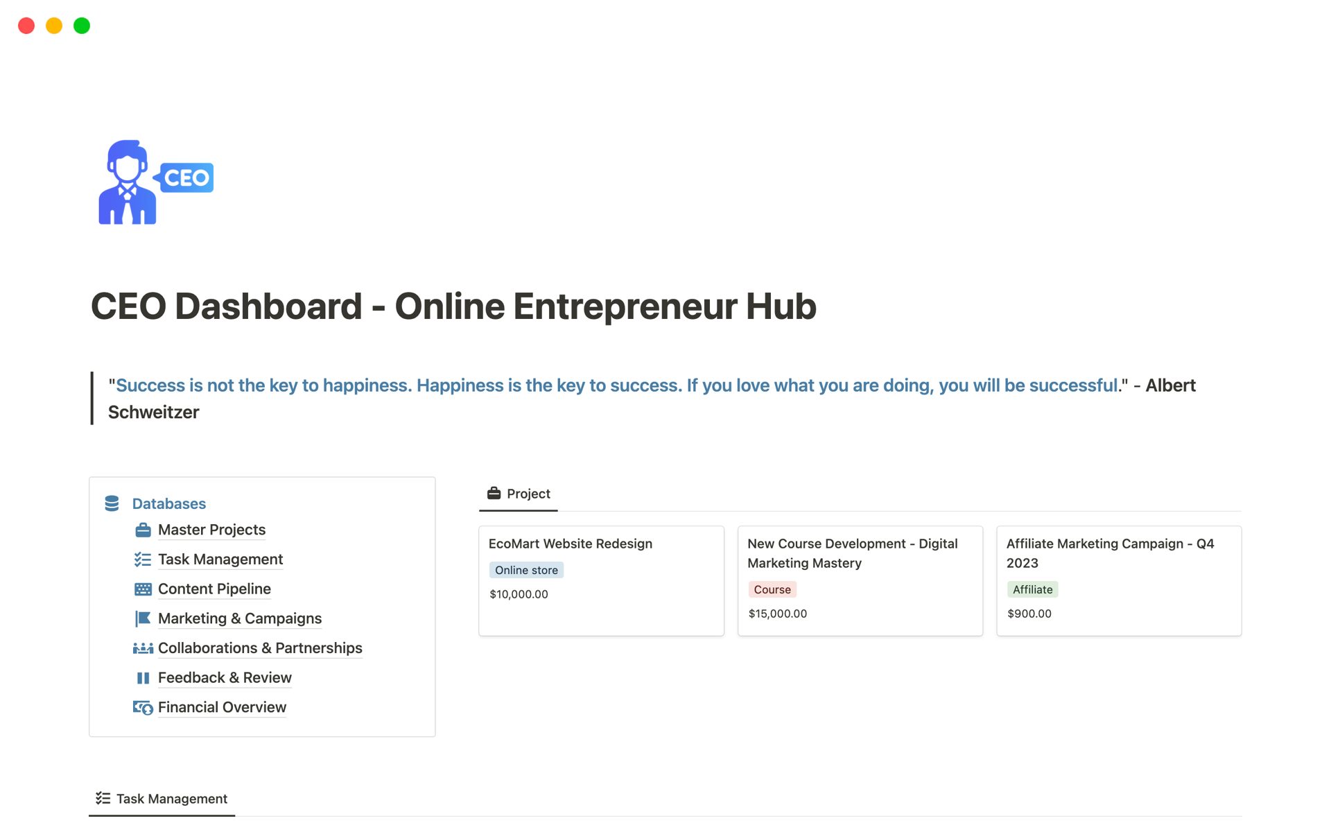 Uma prévia do modelo para CEO Dashboard - Online Entrepreneur Hub