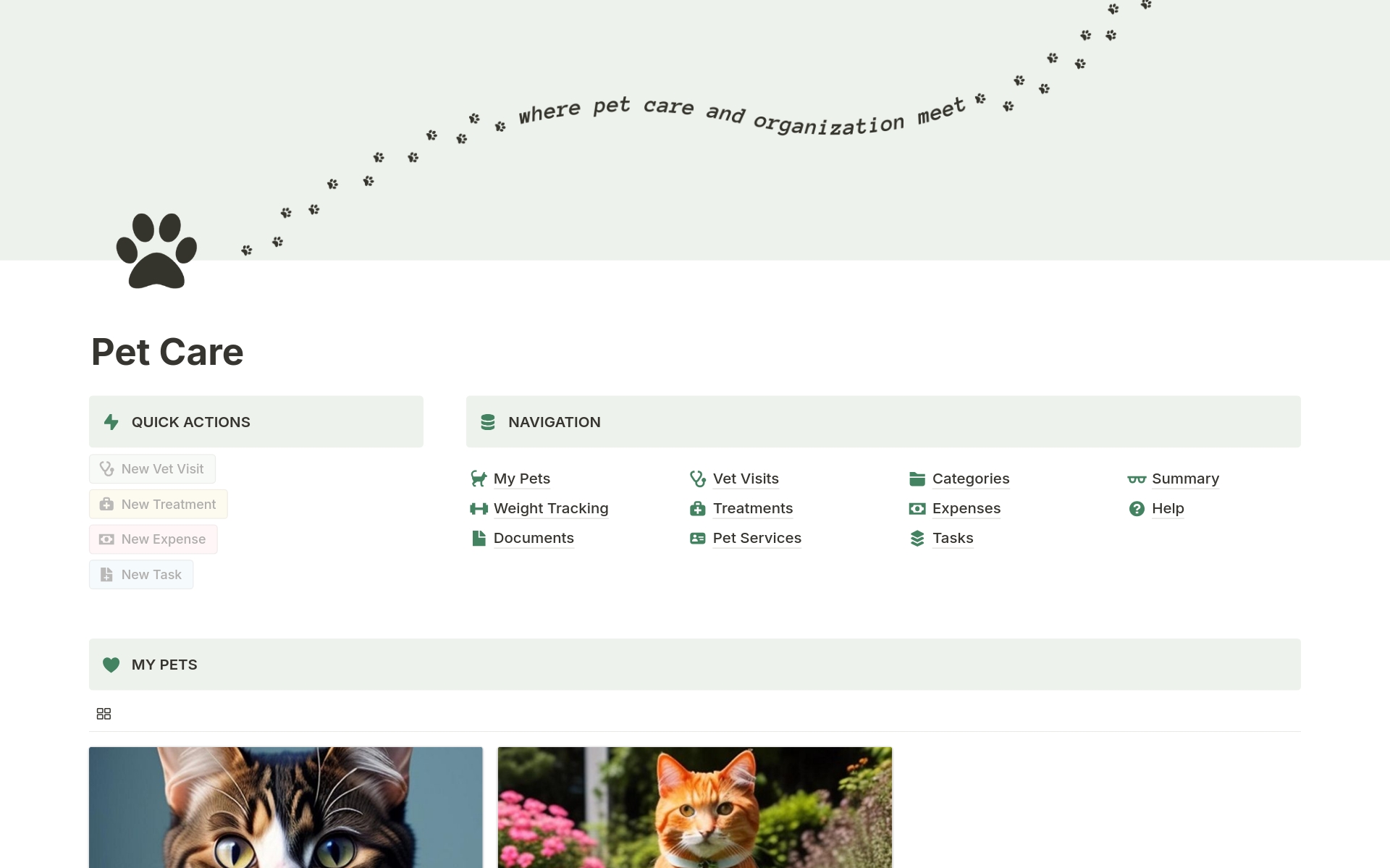A template preview for Pet Care