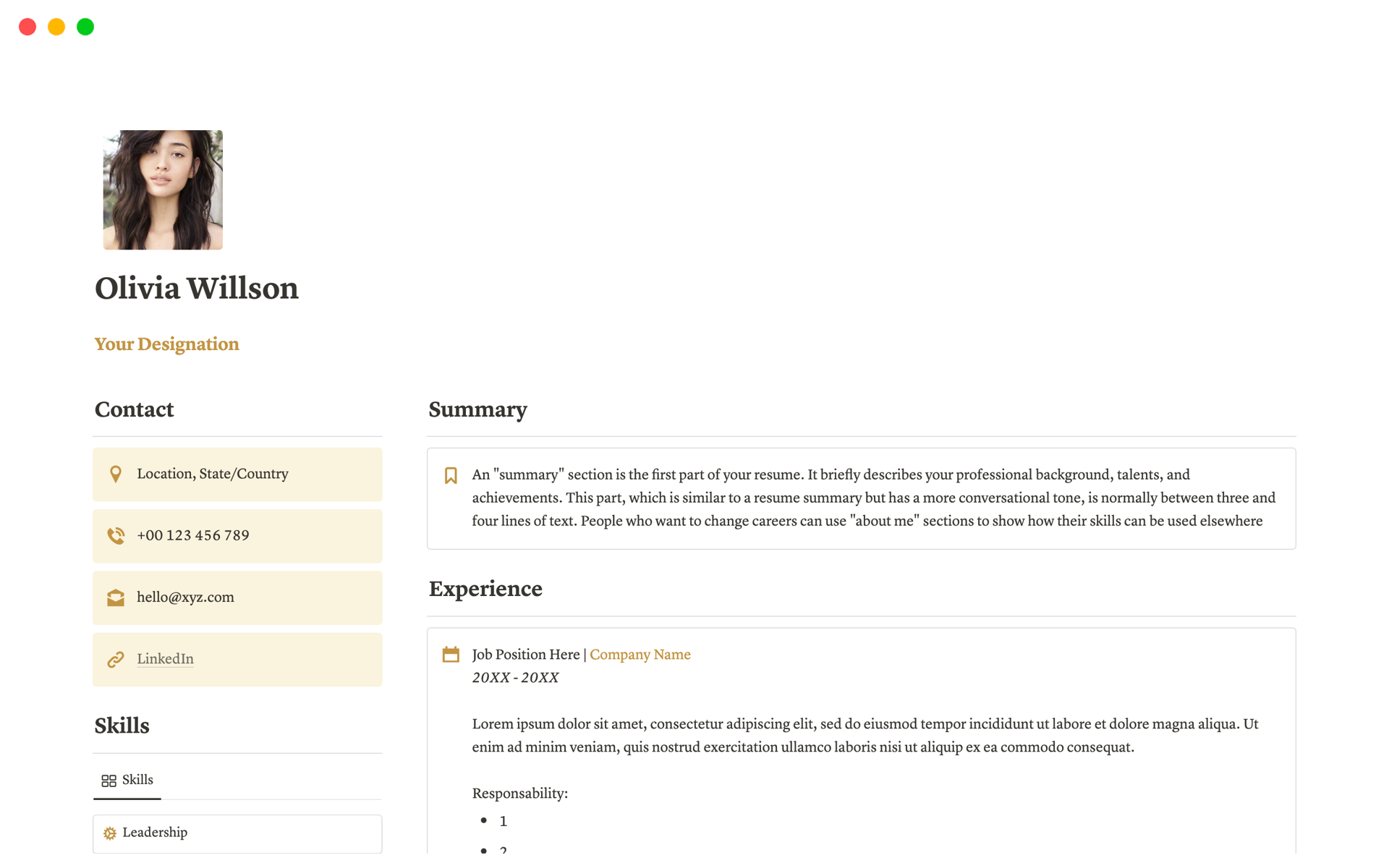 Professional Resume CV Builder - Desktop 