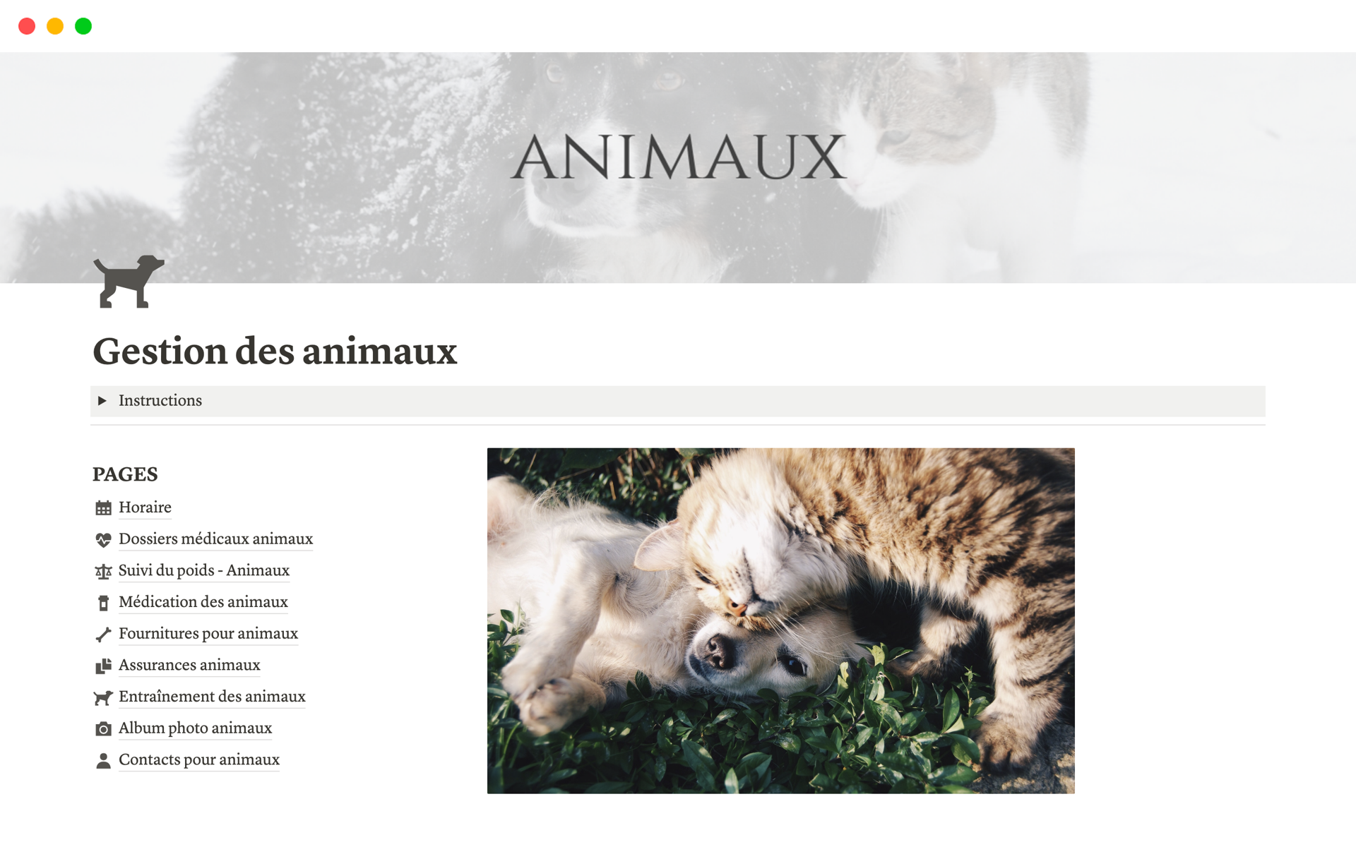 A template preview for Gestion des animaux