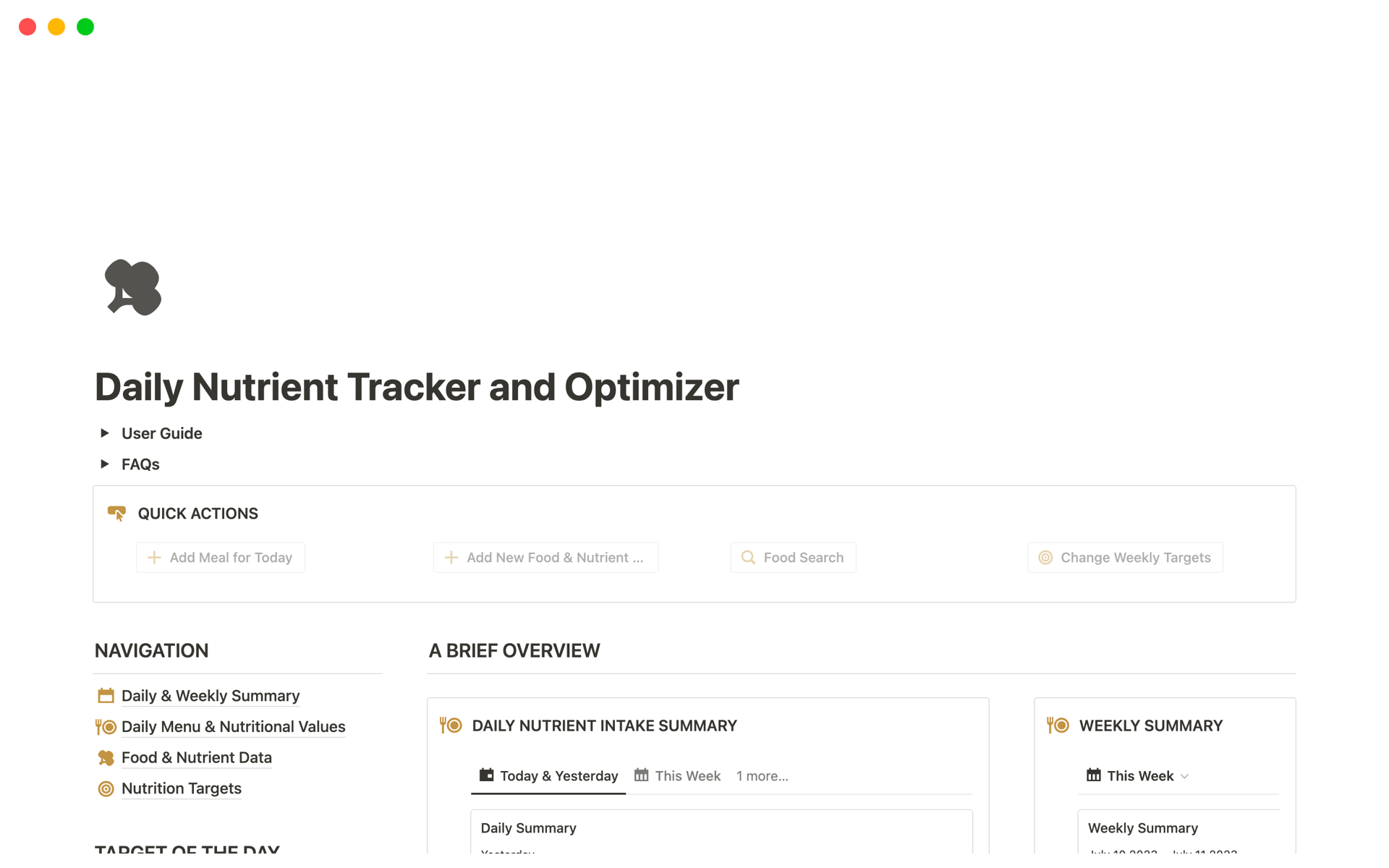 A template preview for Daily Nutrient Tracker and Optimizer
