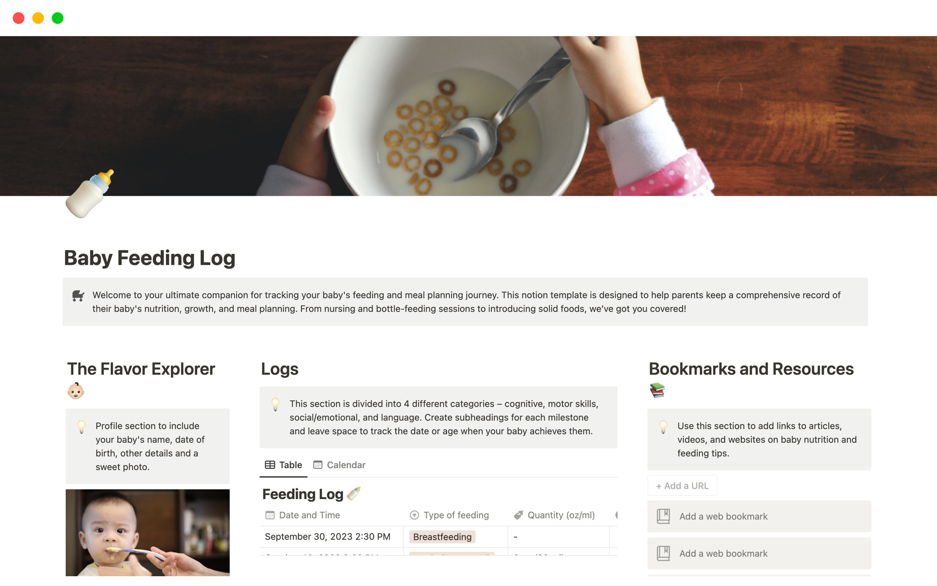 A template preview for Baby Feeding Log