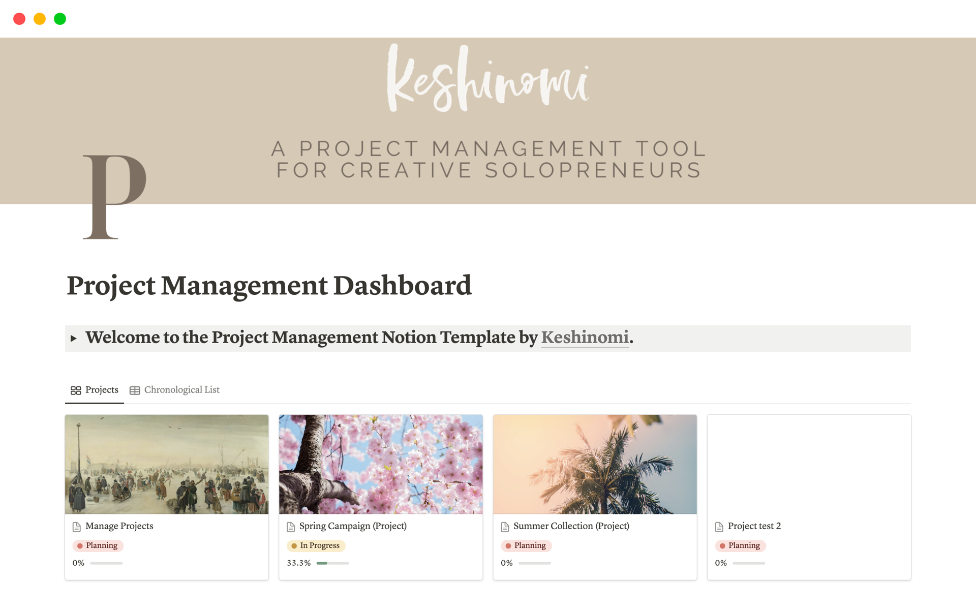 A template preview for Project Management