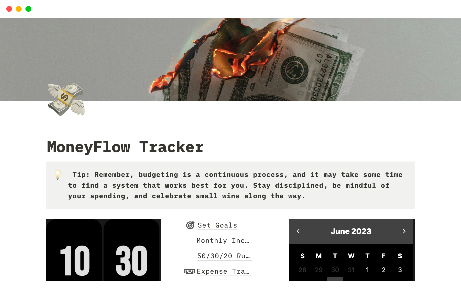 A template preview for MoneyFlow Tracker