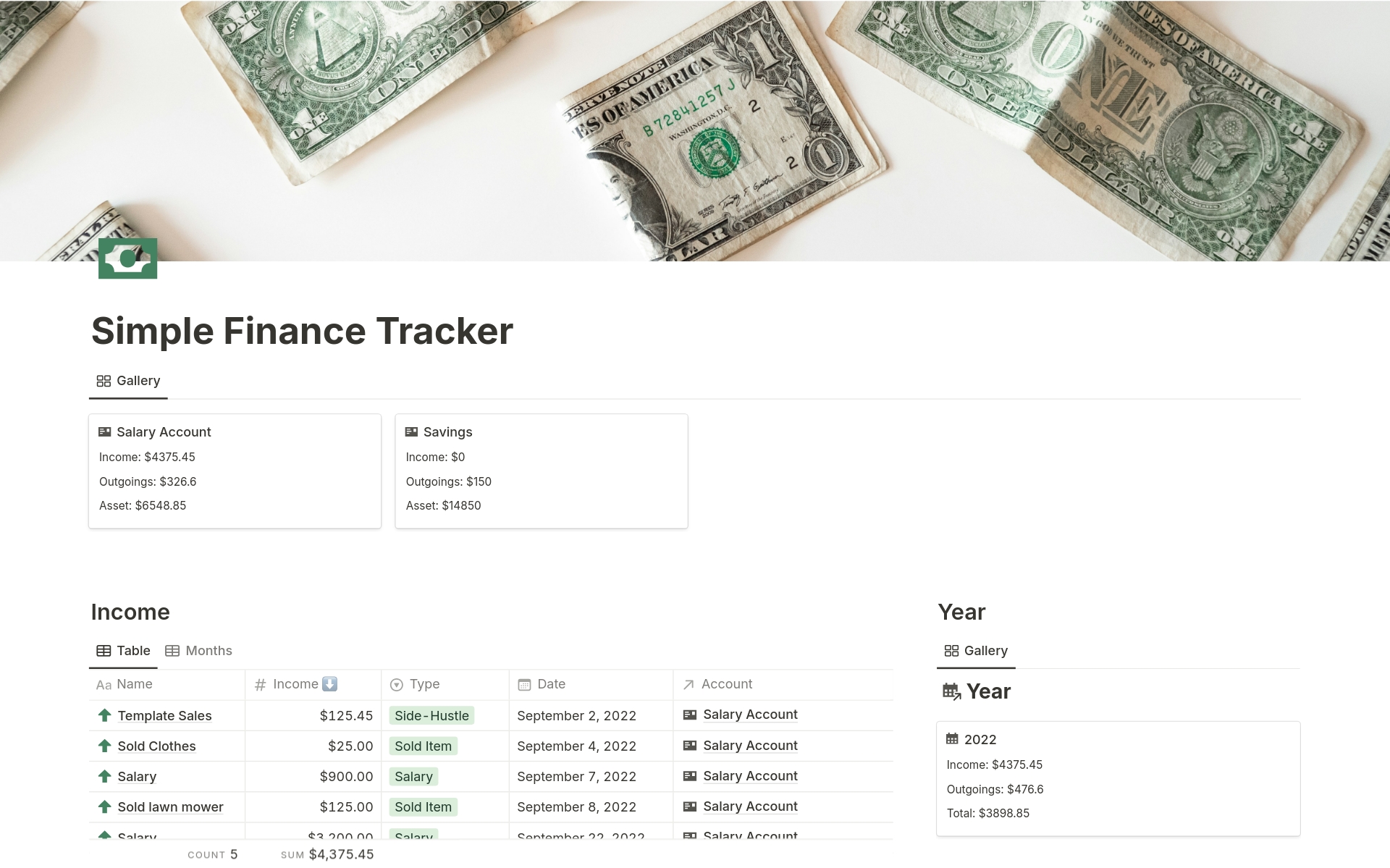 Uma prévia do modelo para Simple Finance Tracker