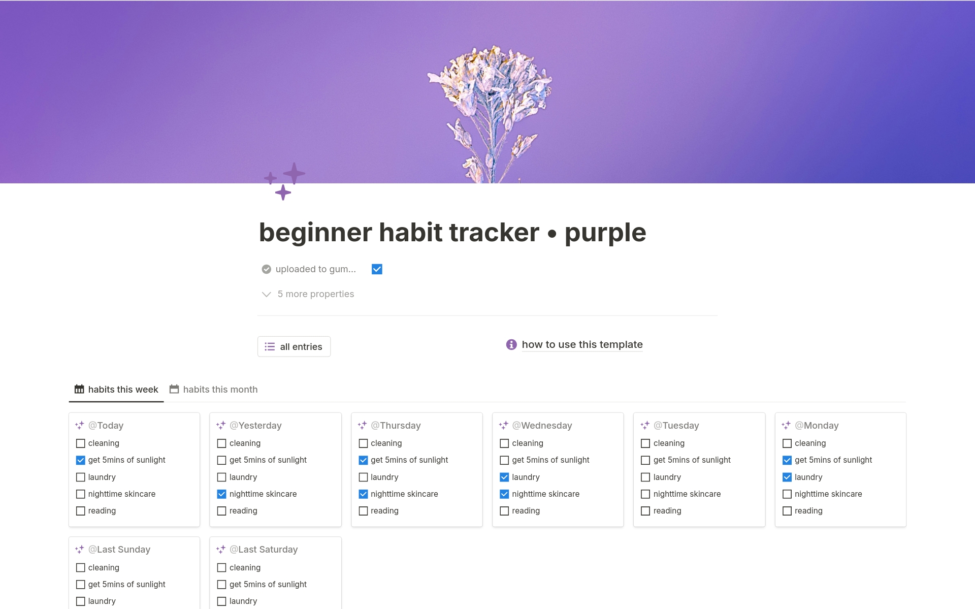 beginner habit trackerのテンプレートのプレビュー