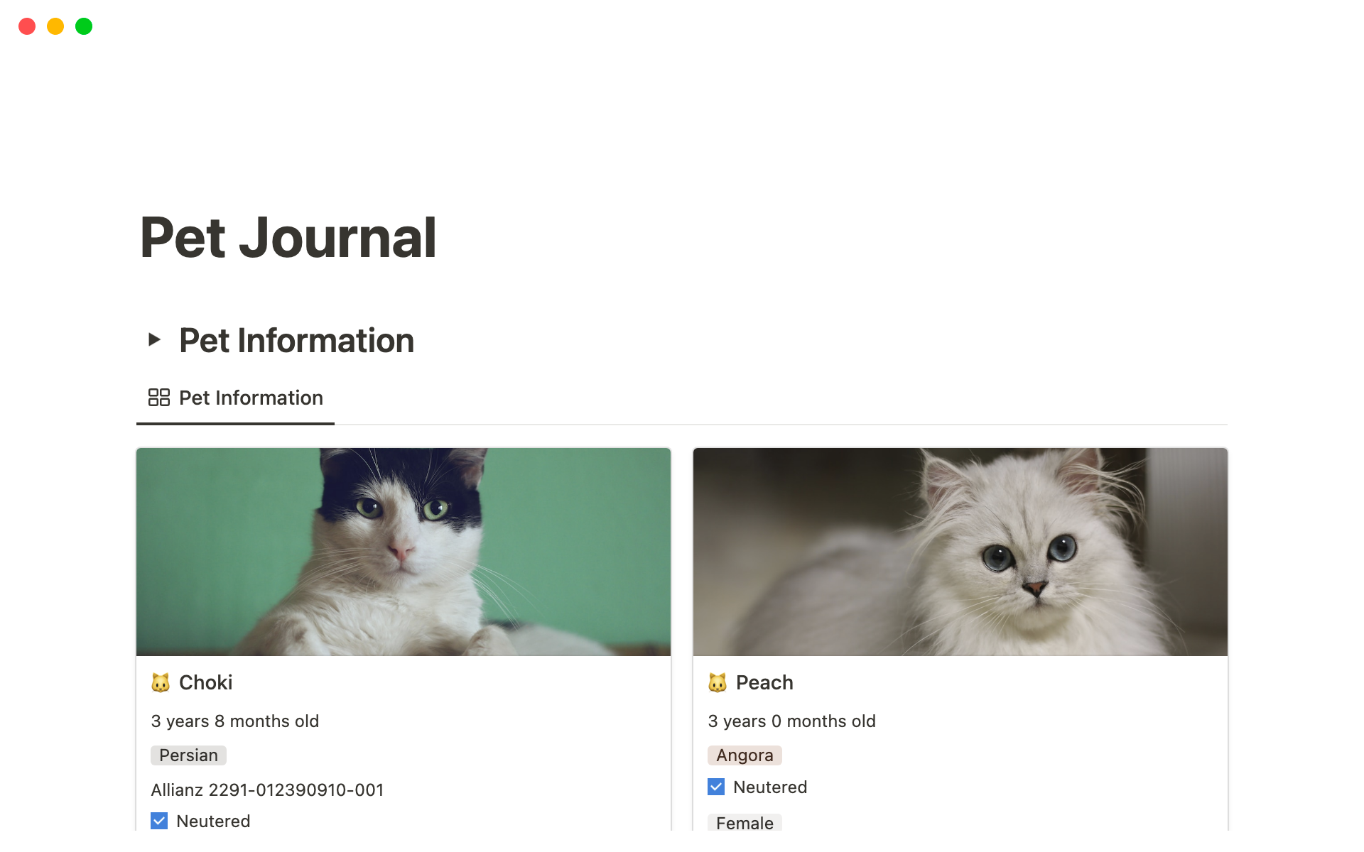 Eine Vorlagenvorschau für Pet Journal / Tracker