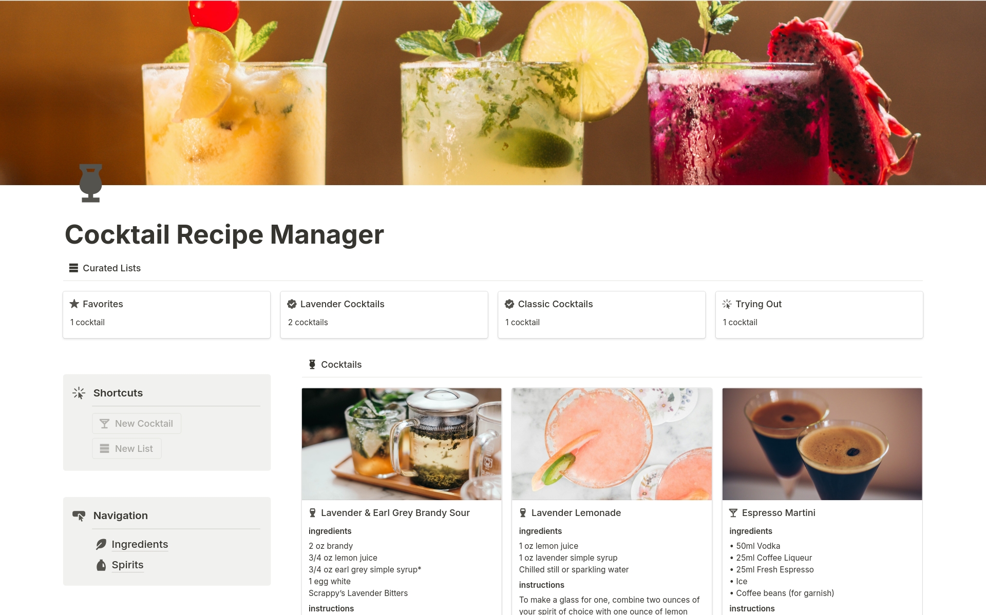 Eine Vorlagenvorschau für Cocktail Recipe Manager
