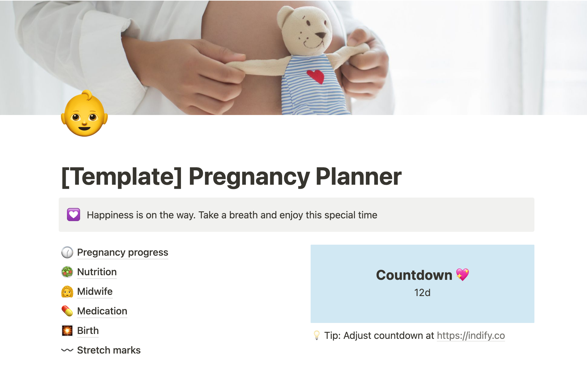 A template preview for Pregnancy Planner