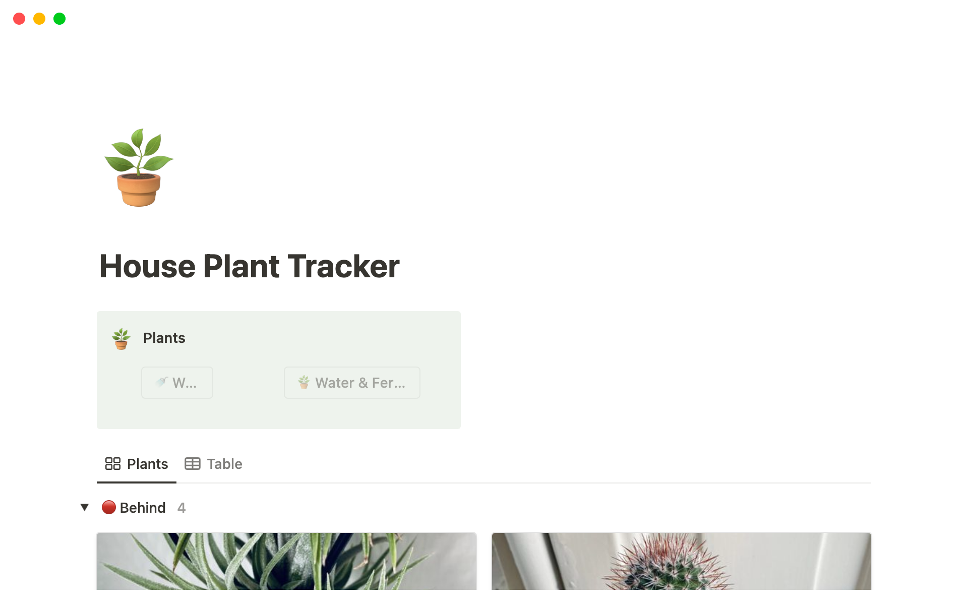 Eine Vorlagenvorschau für House Plant Tracker