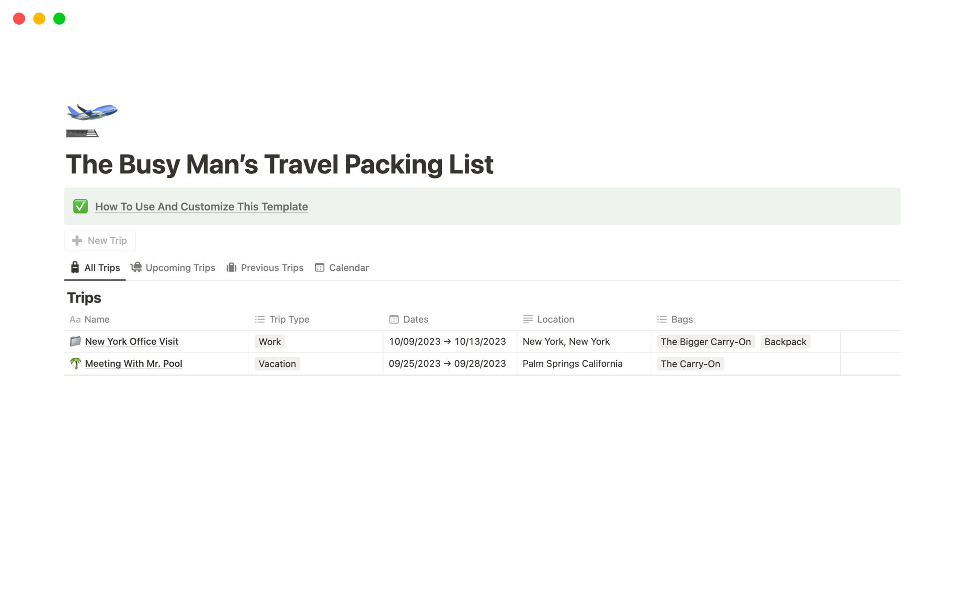 A template preview for The Busy Man’s Travel Packing List