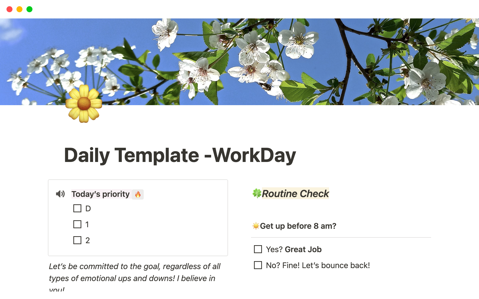 A template preview for Daily Planning, Tracking & Reflection