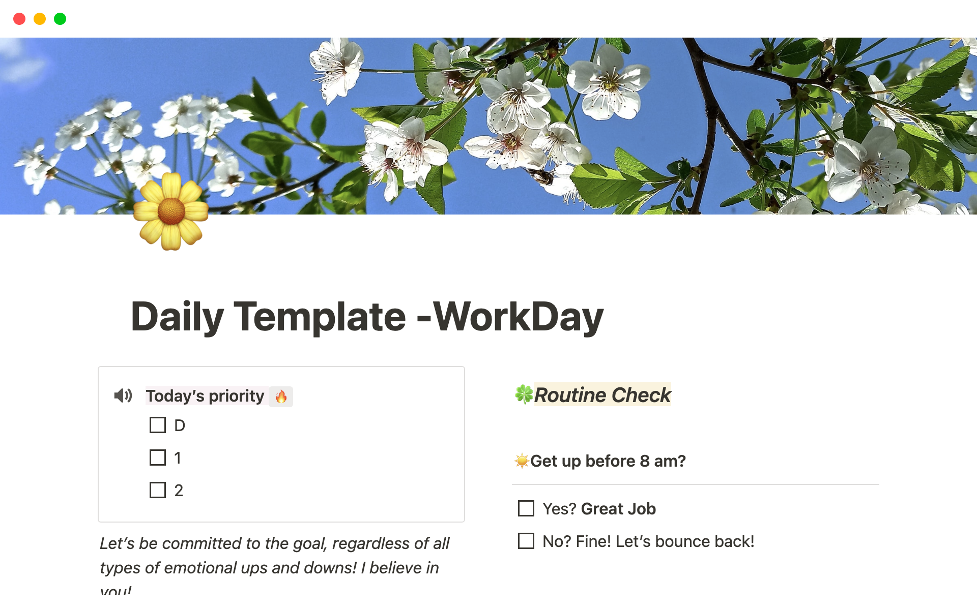 Vista previa de una plantilla para Daily Planning, Tracking & Reflection