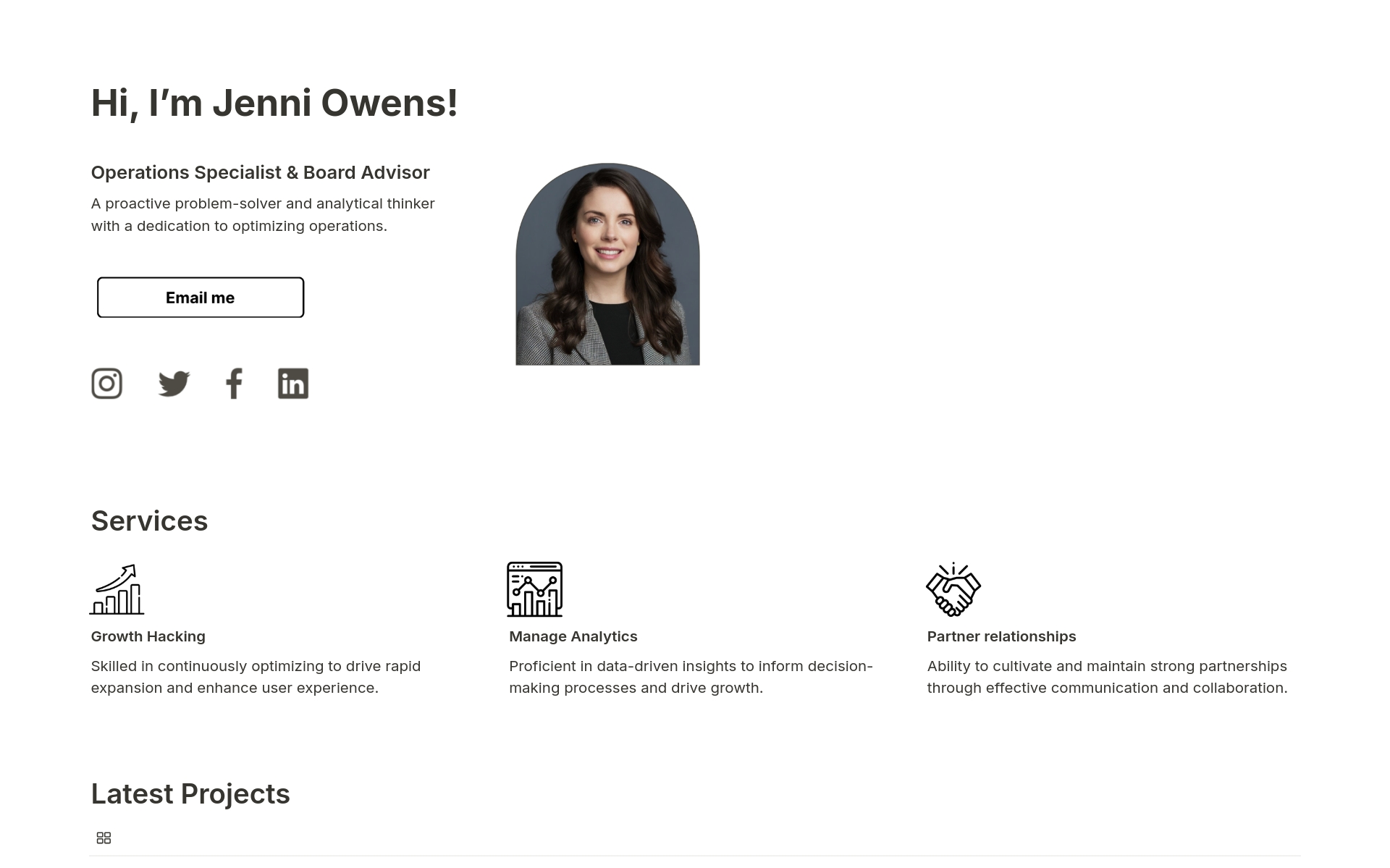 A template preview for Professional Personal Website