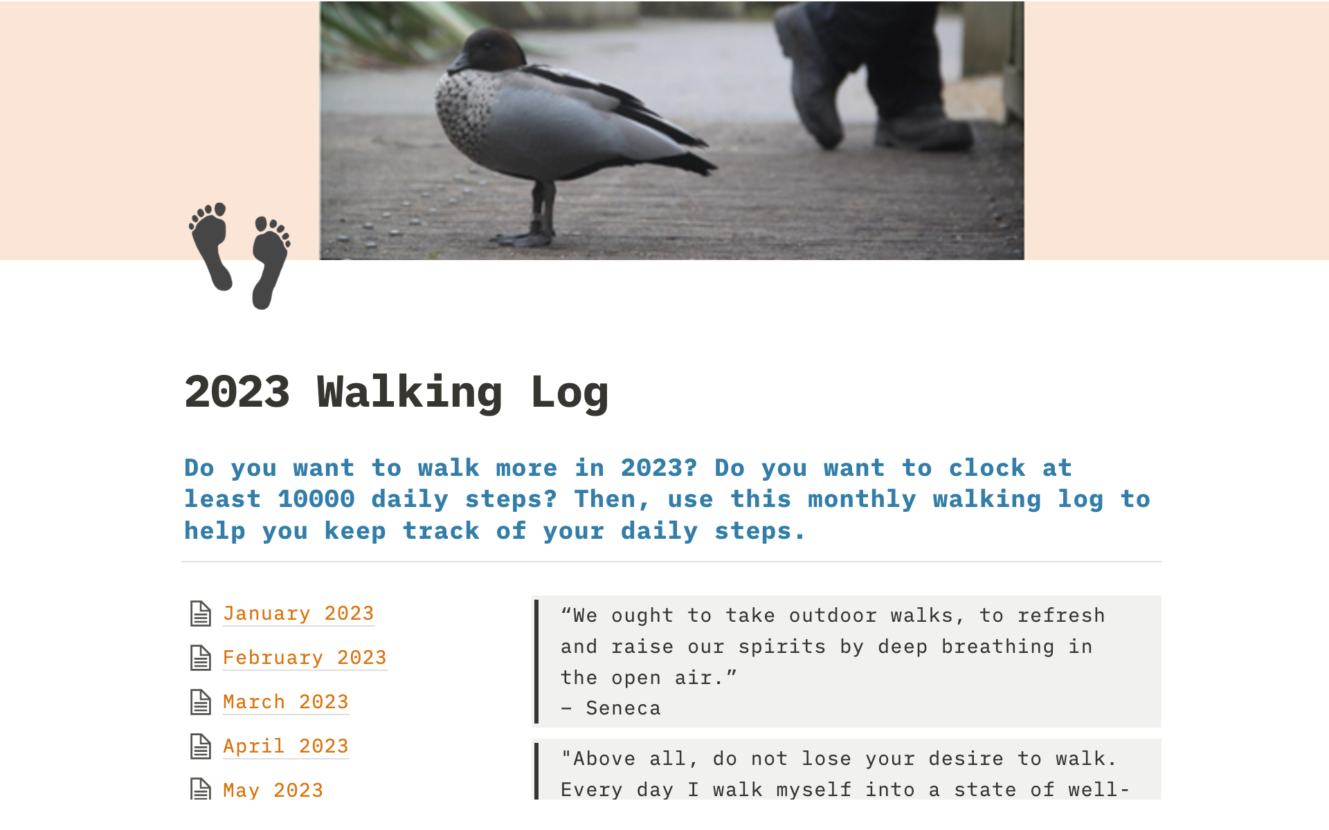 Walking log to help individuals keep track of their daily steps.