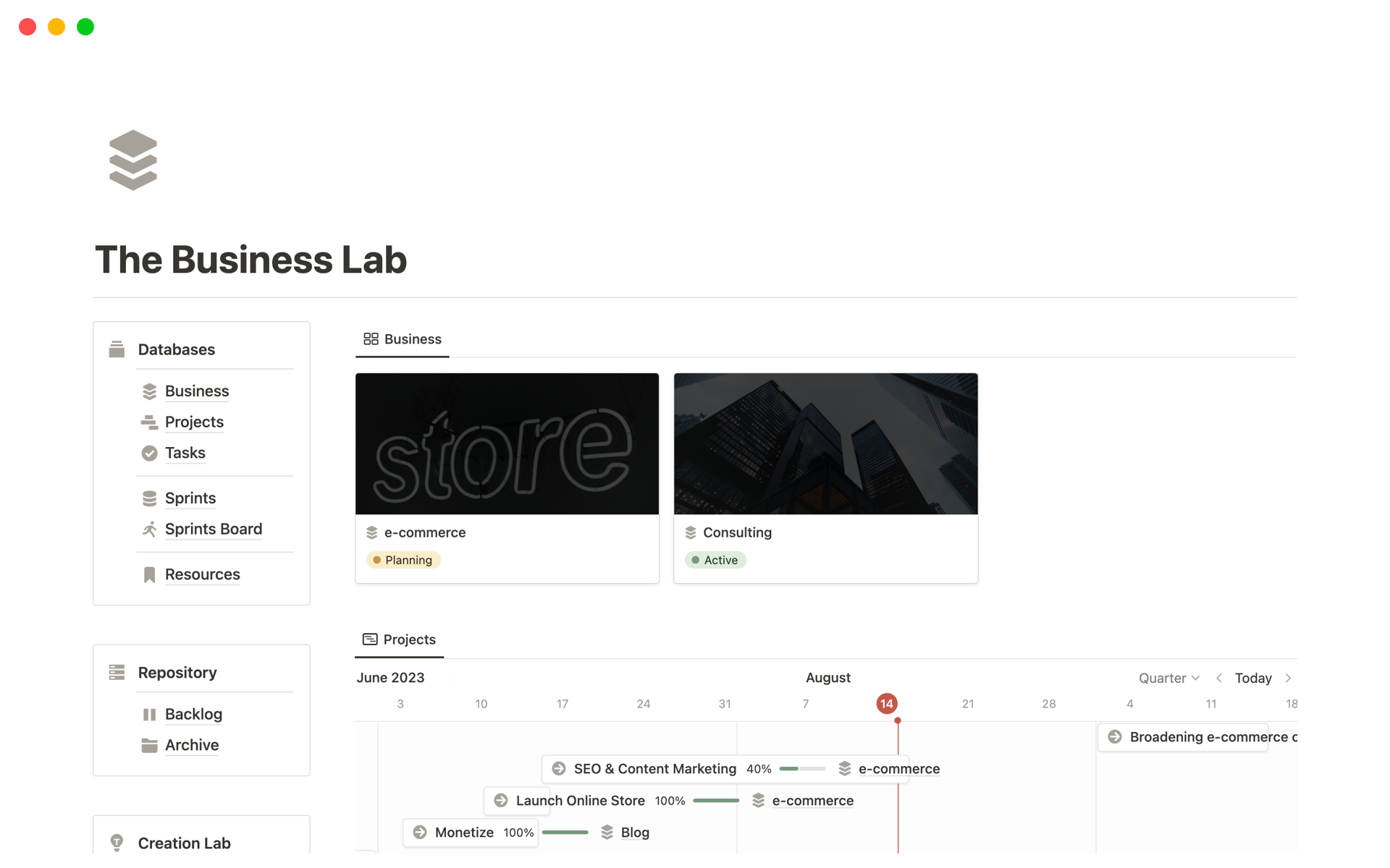 A template preview for The Business Lab
