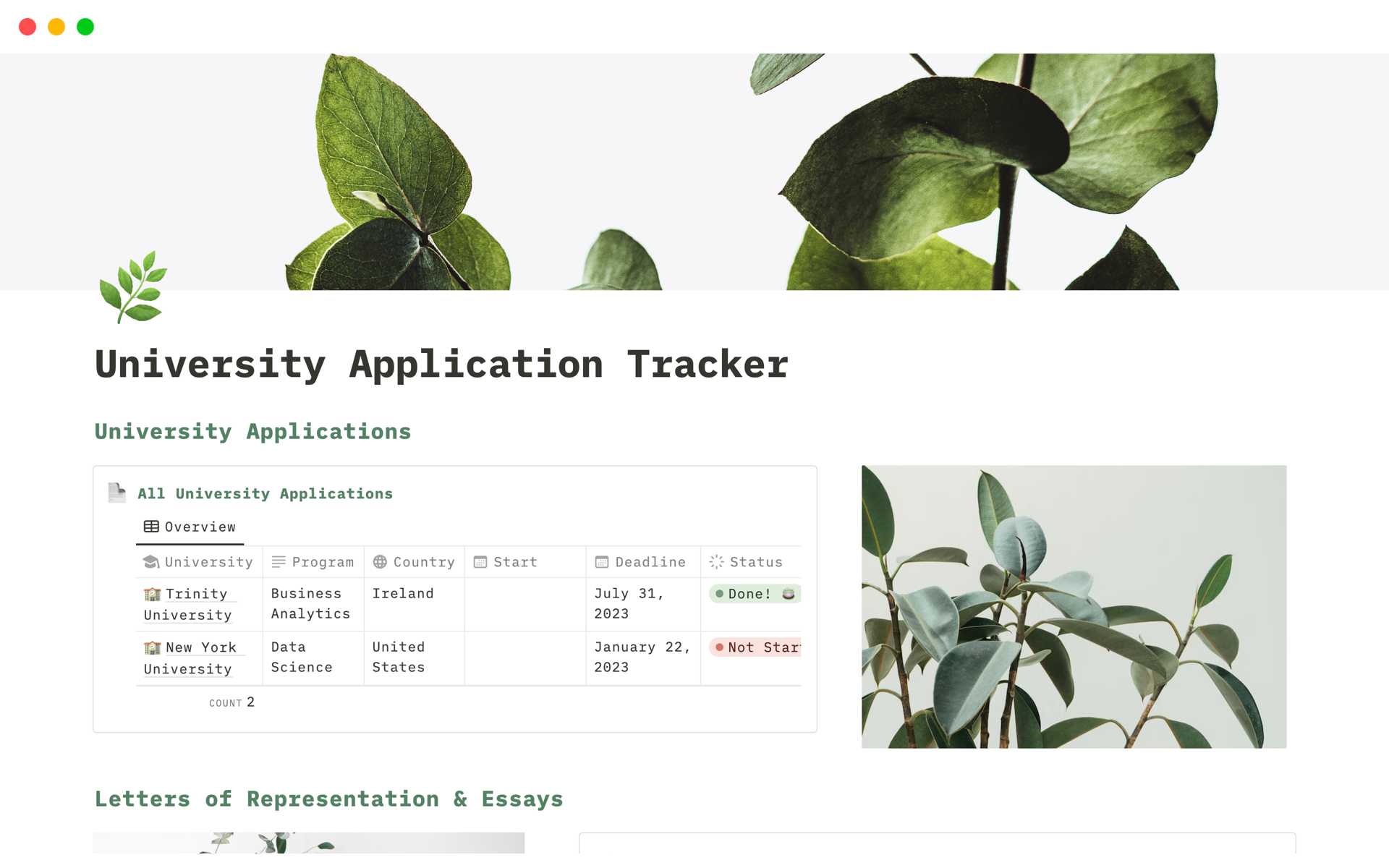A template preview for Minimalistic University Application Tracker