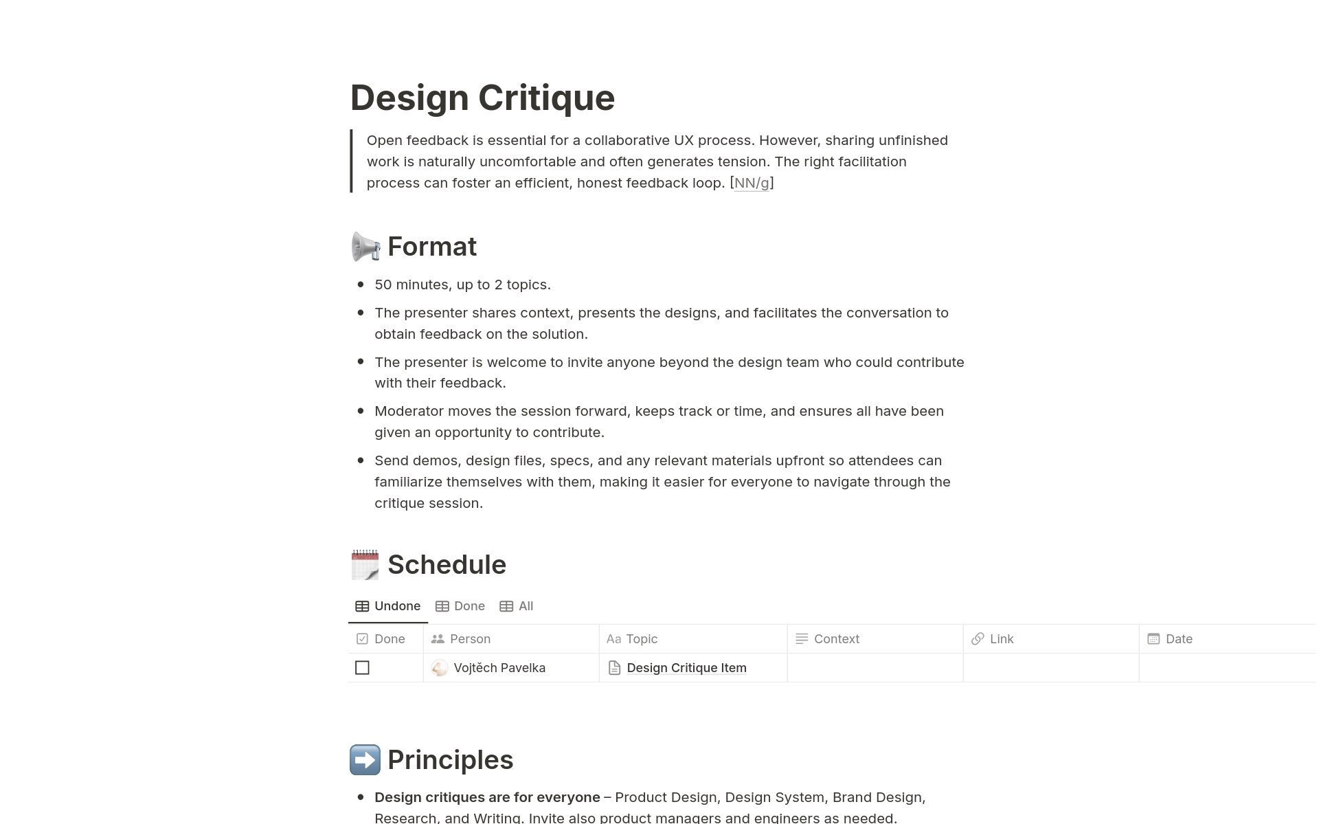 A template preview for Design Critique