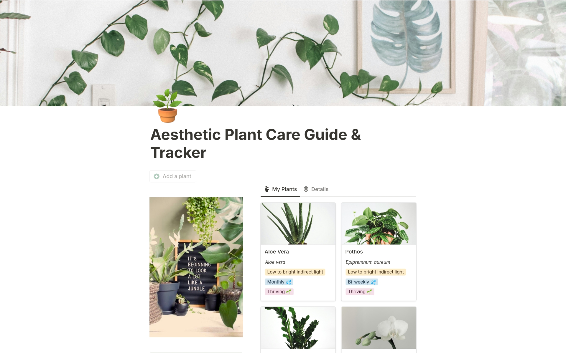 Embark on your botanical adventure with this Notion template for nurturing thriving indoor gardens. From comprehensive plant care guides to intuitive organization features, cultivate your green oasis with ease. Your journey to plant parenthood starts here! 🌿✨