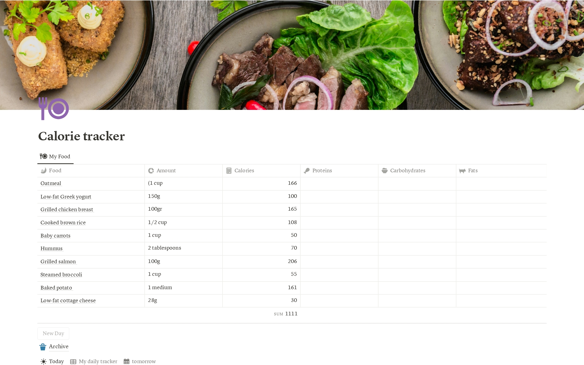 A template preview for Minimal Calorie Tracker
