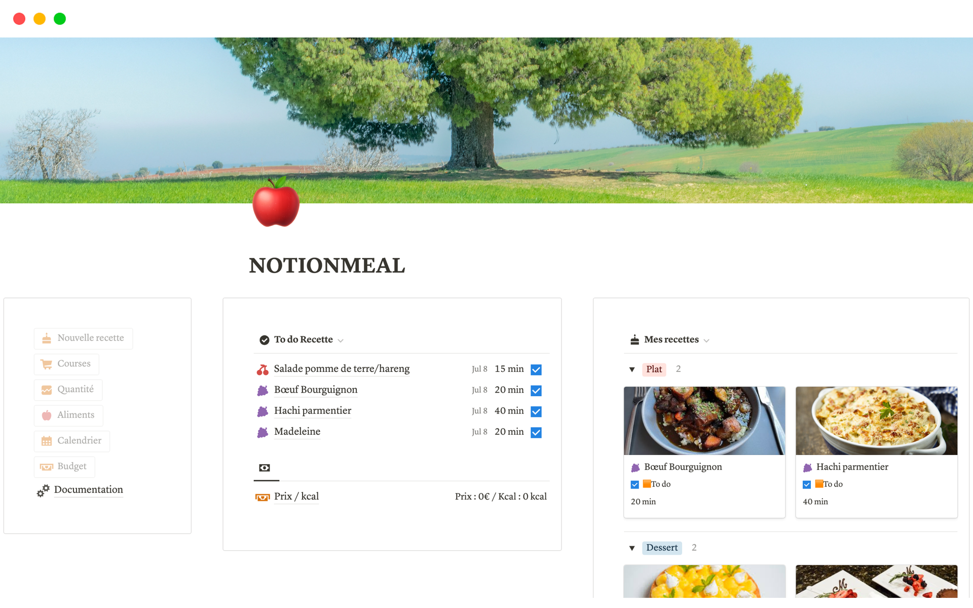 A template preview for NOTIONMEAL