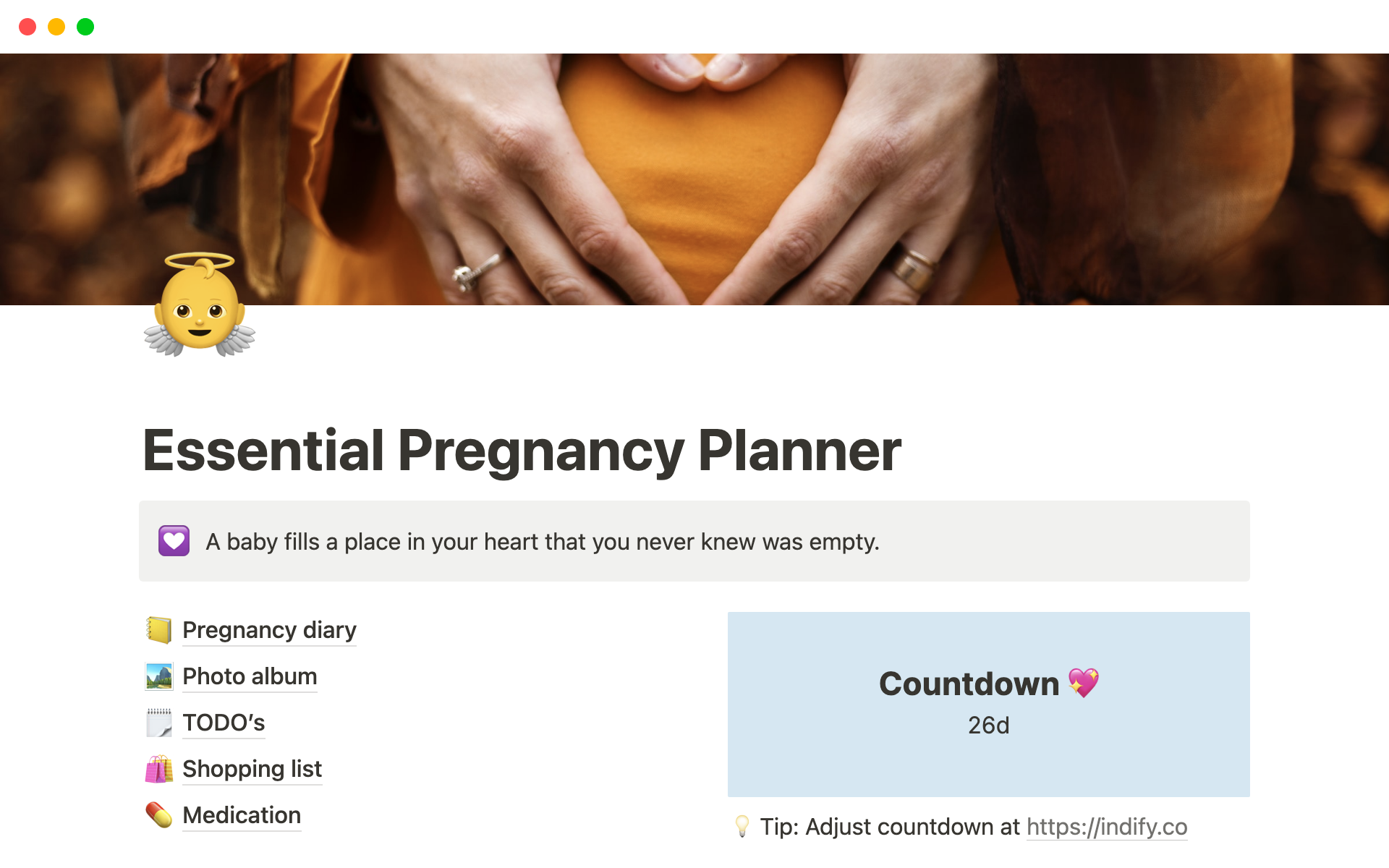 A template preview for Essential Pregnancy Planner