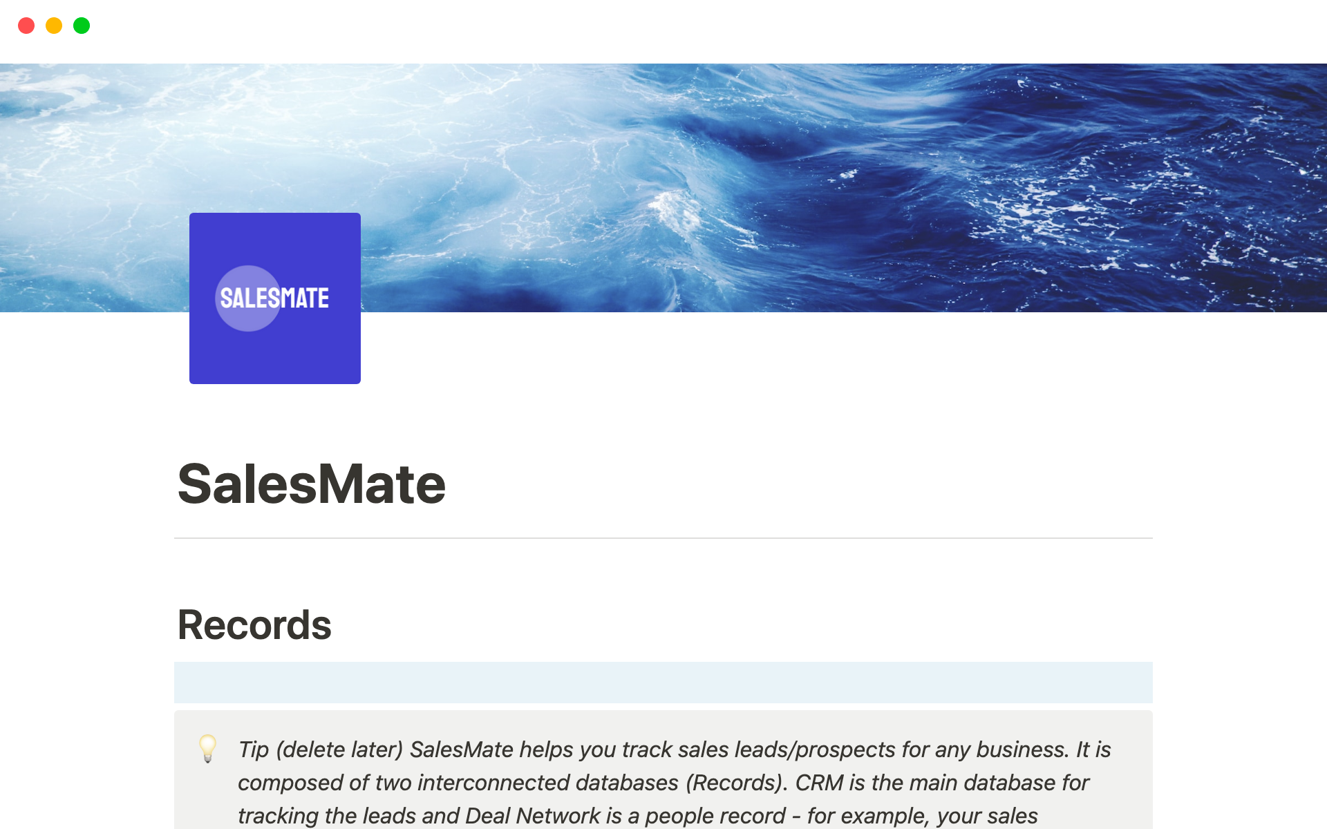 A template preview for SalesMate