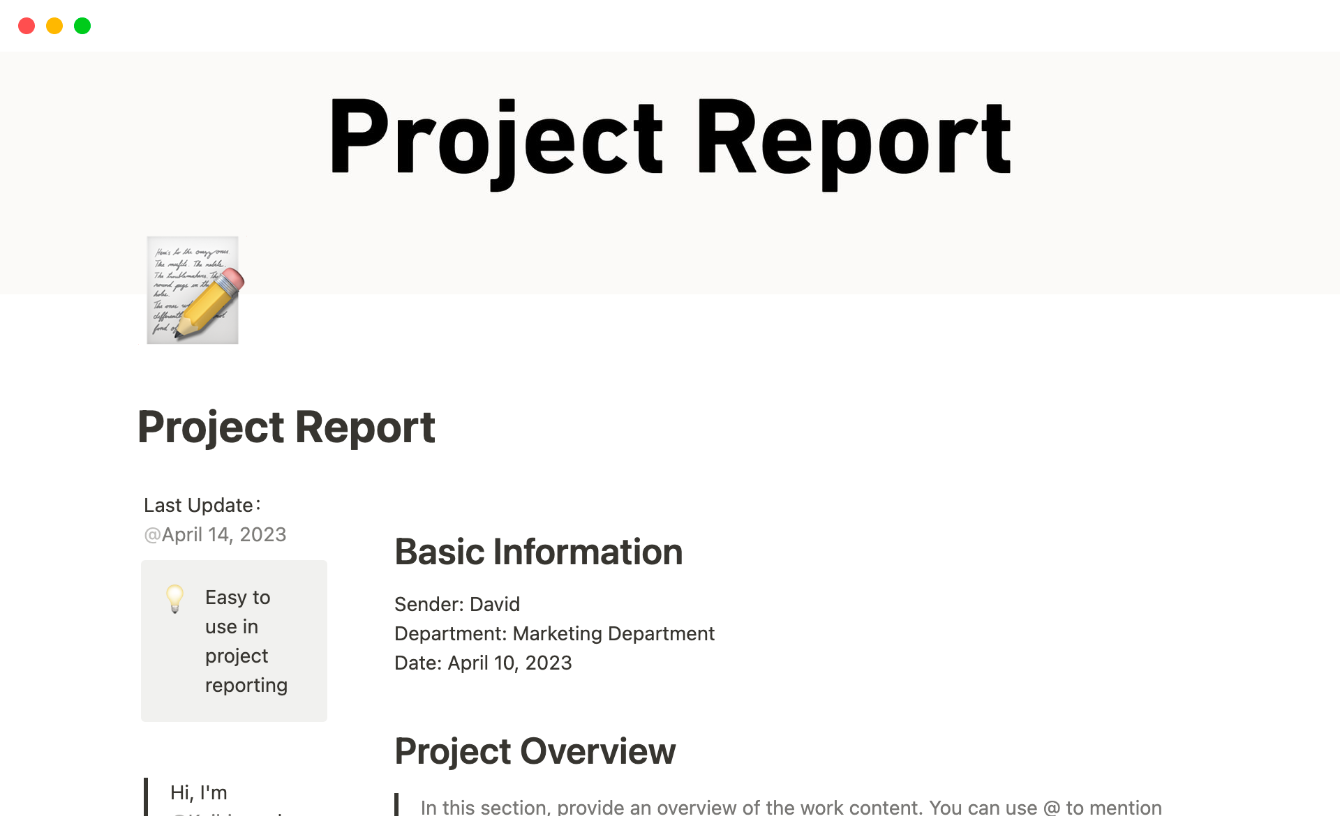 A template preview for Project Report