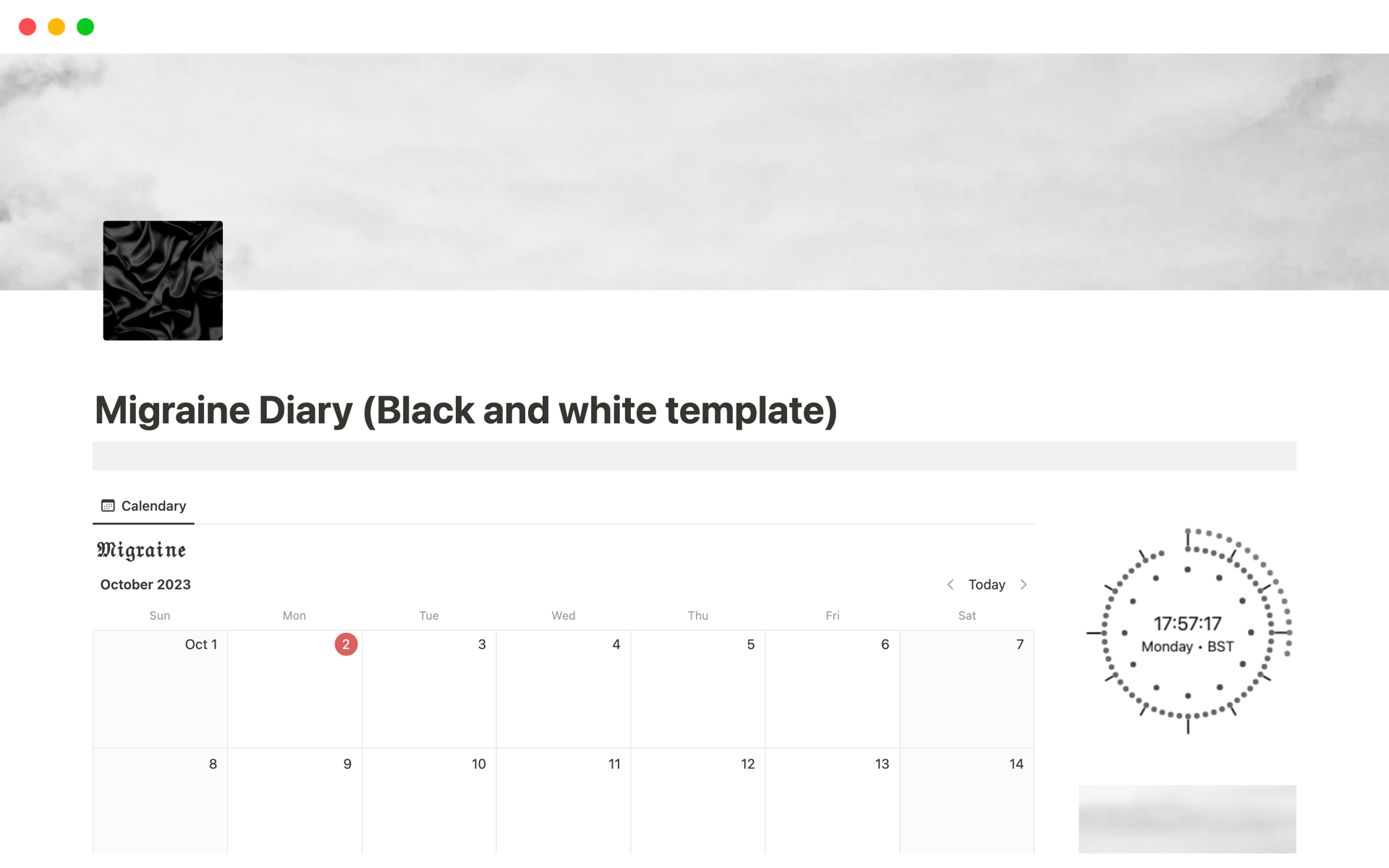 A template preview for Migraine Diary (Black and white template)