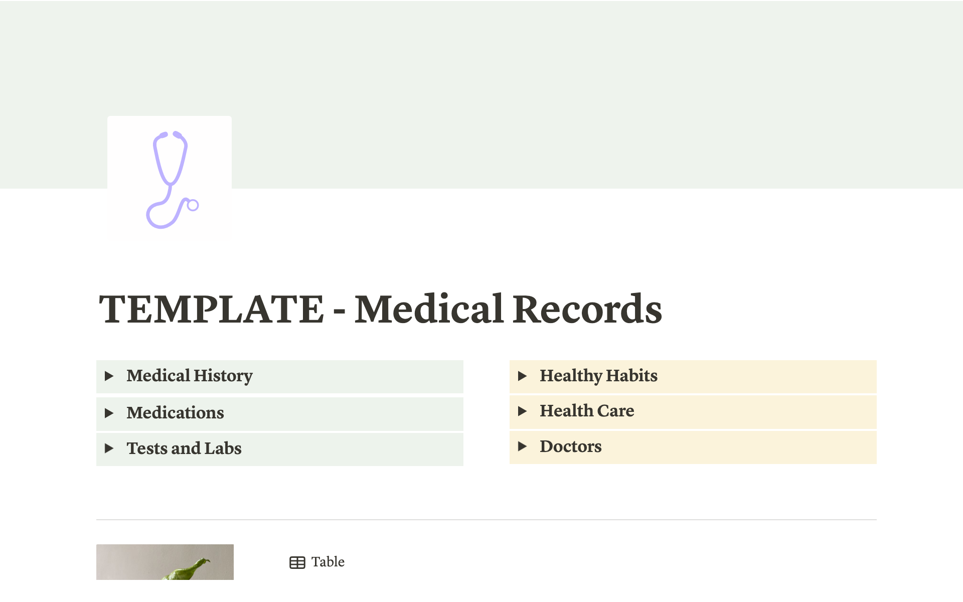A template preview for Medical Records Template
