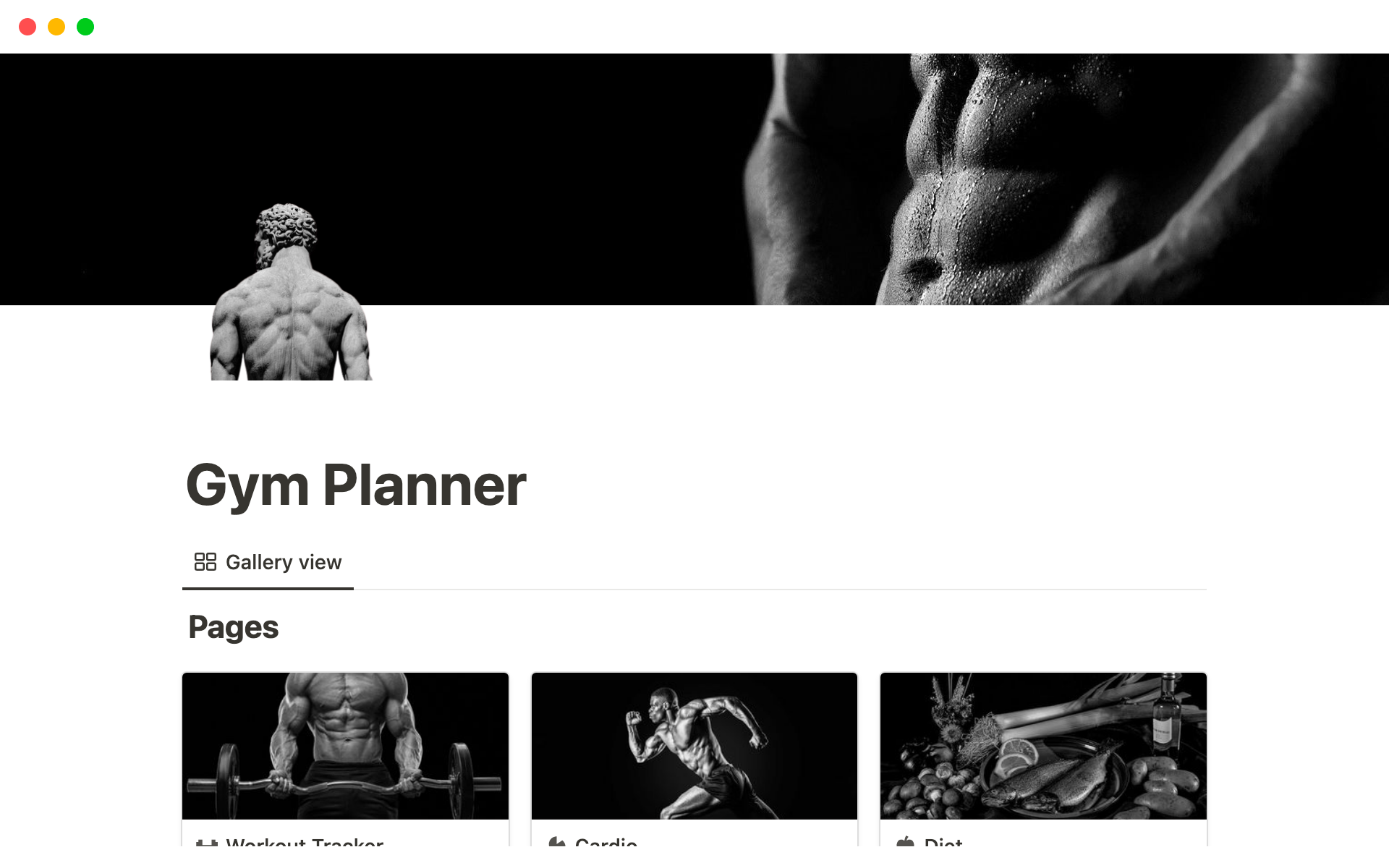 A template preview for Gym Planner