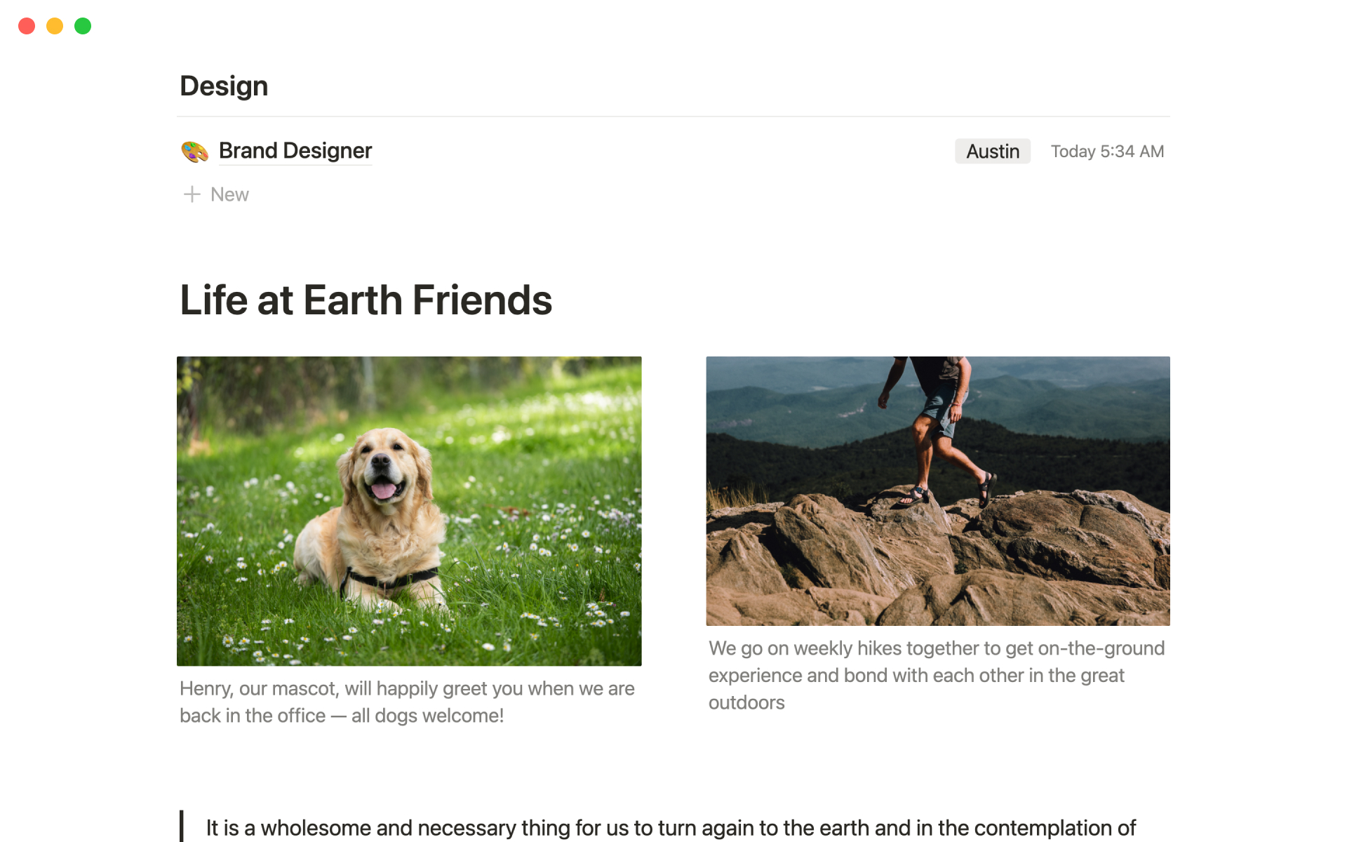 Nonprofit job board 2024 Notion Template