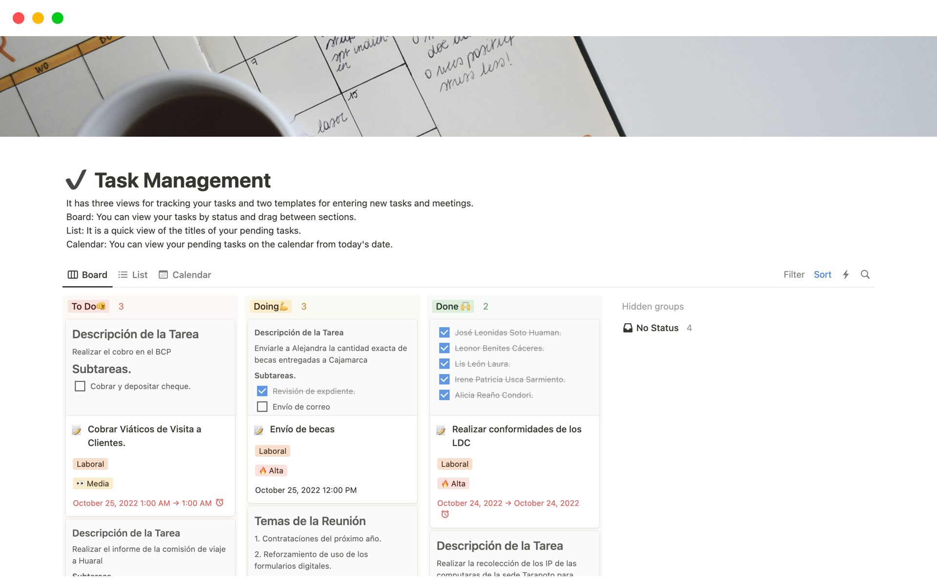 A template preview for Task Management