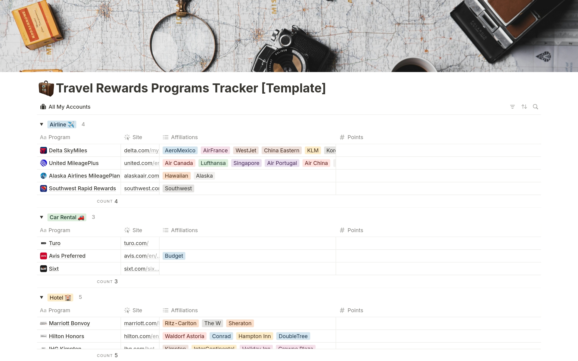 A template preview for Travel Rewards Program Tracker
