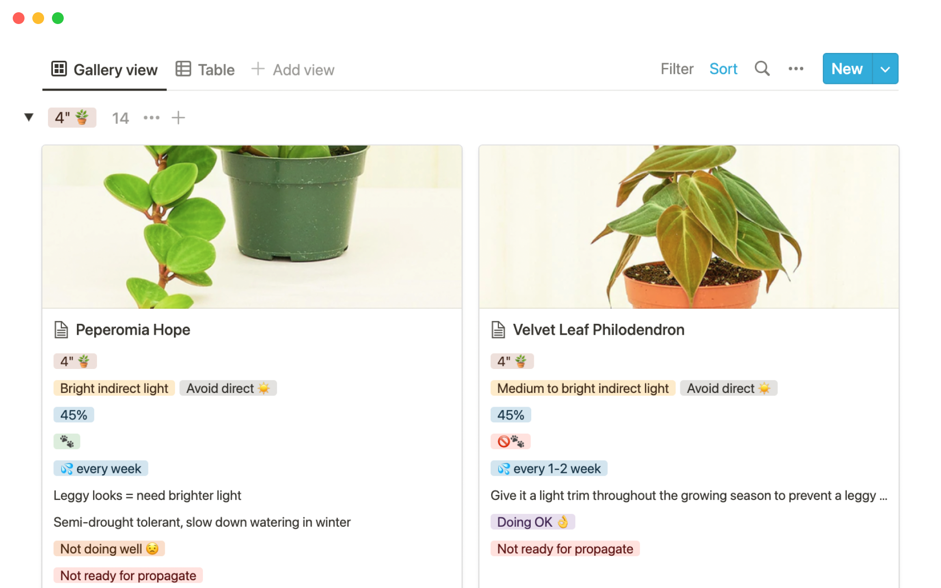 Keep track of your plant collection and manage each one's care information.