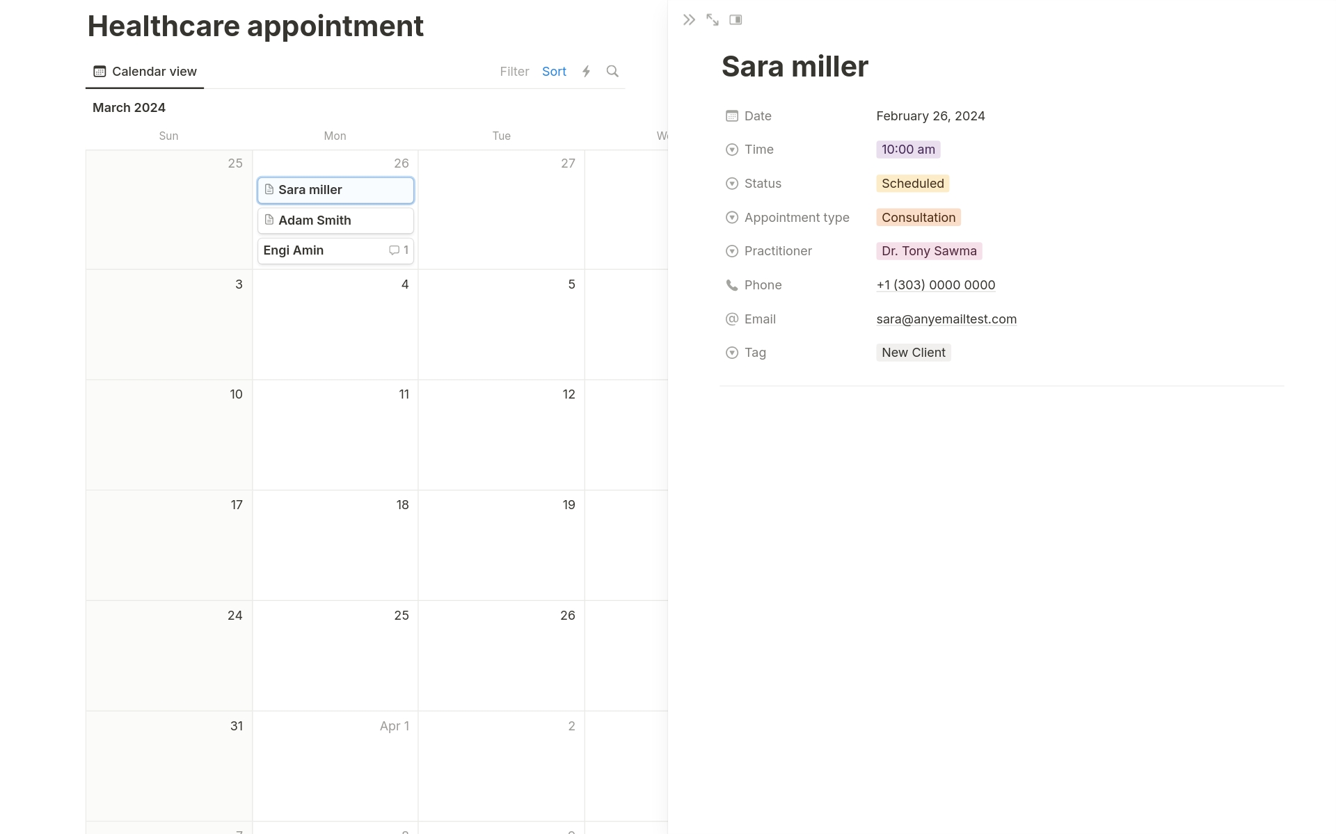 A template preview for Appointment booking for Professionals