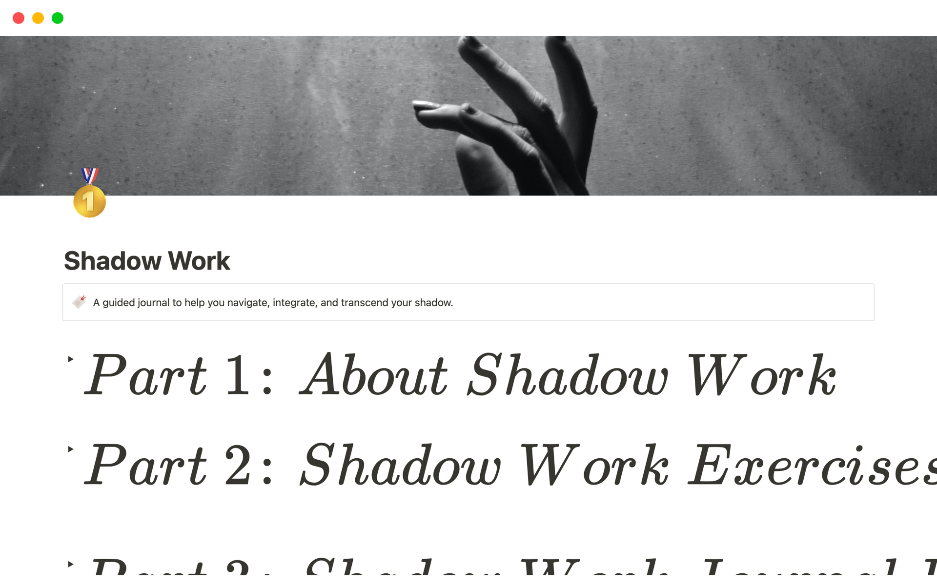 A template preview for Shadow Work Journal