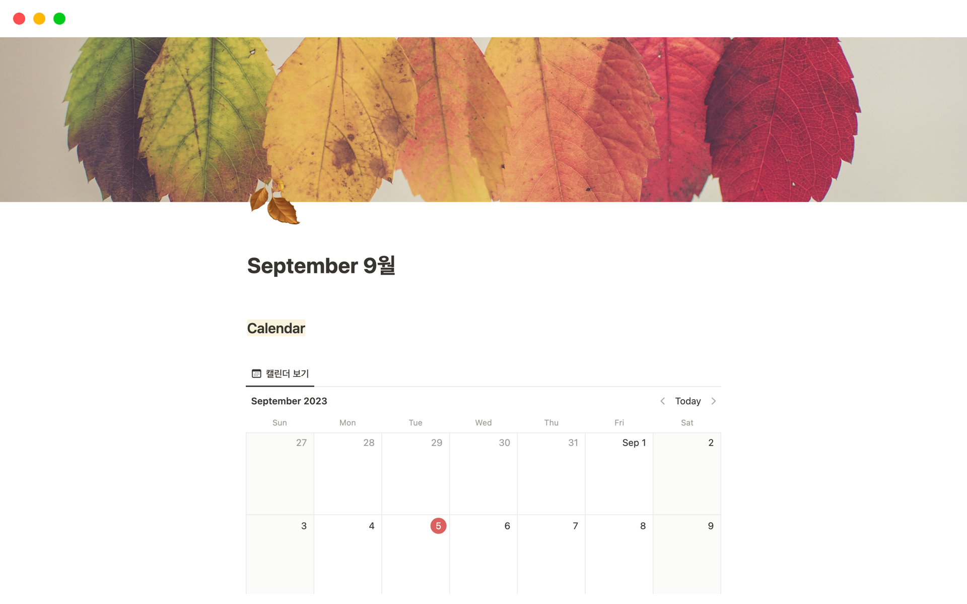 Uma prévia do modelo para 나만의 월력 (My Own Monthly Calendar)