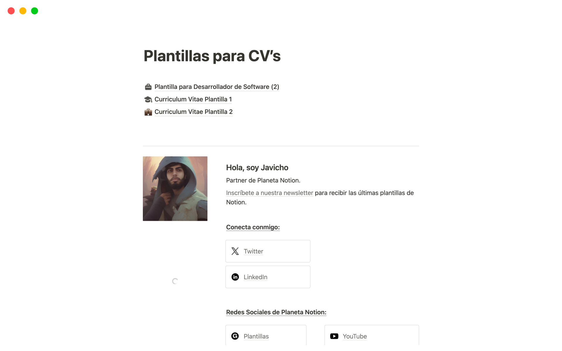 A template preview for Plantillas para CV’s