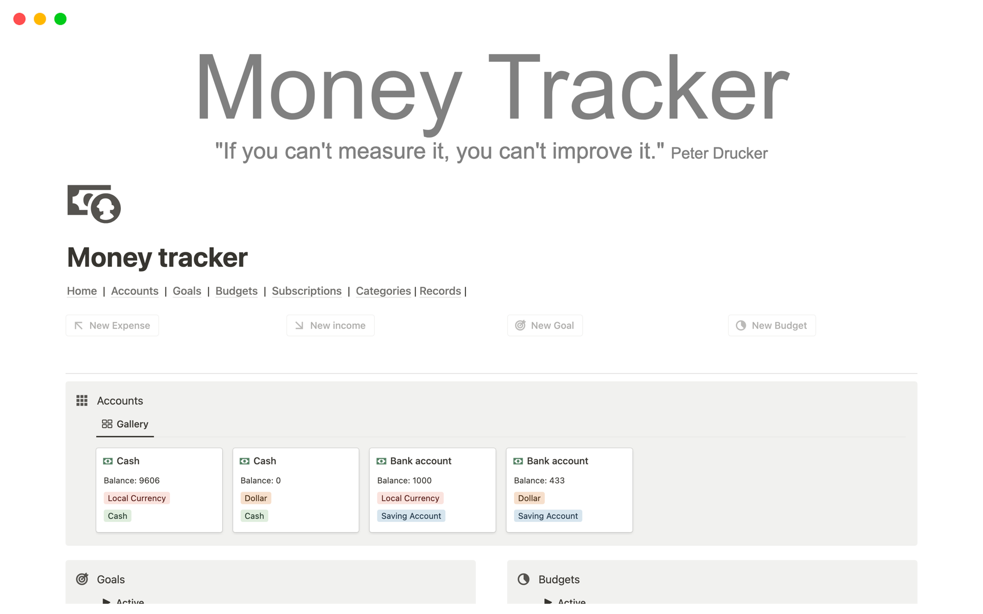 A template preview for Money tracker