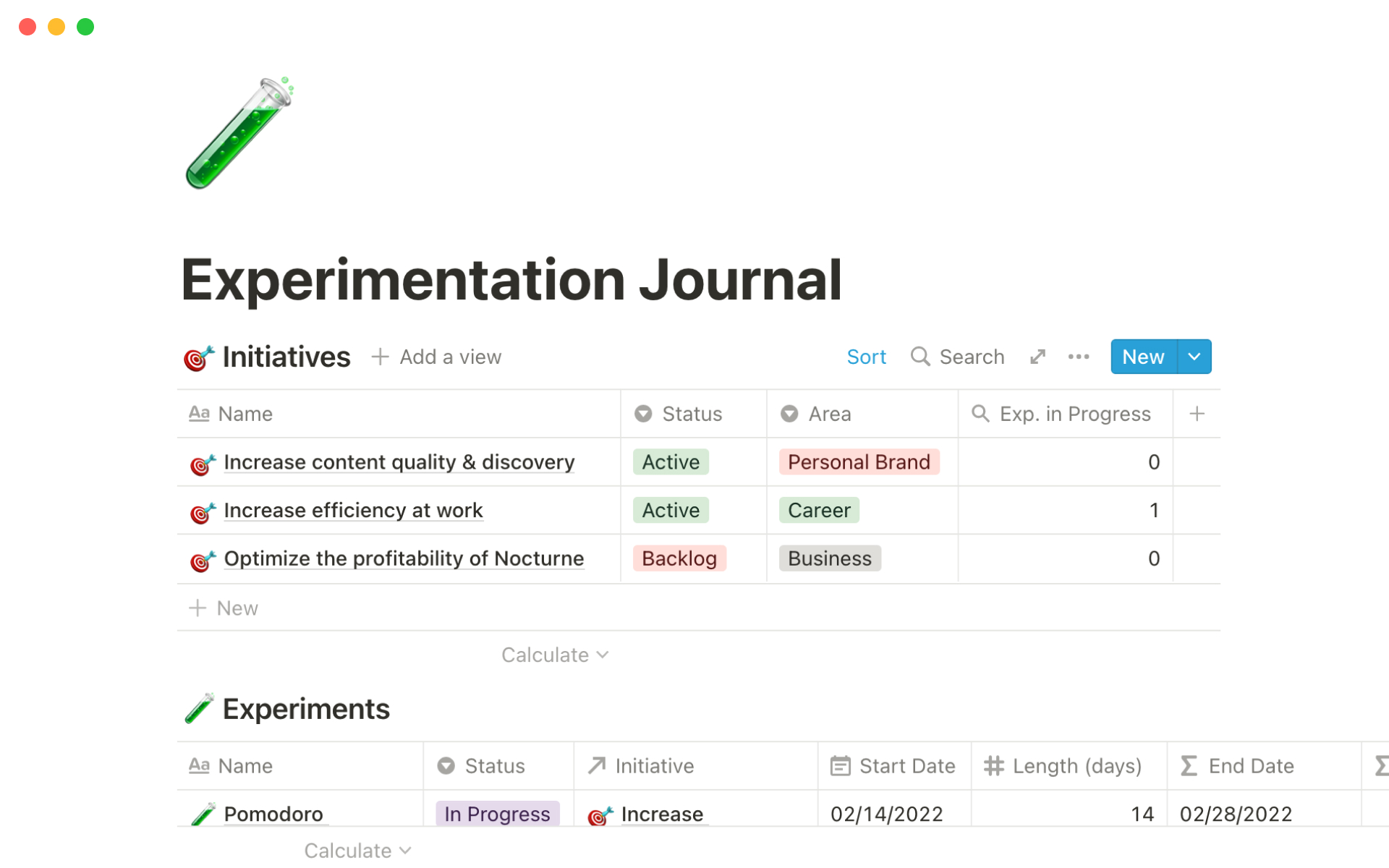 A template preview for Experimentation journal