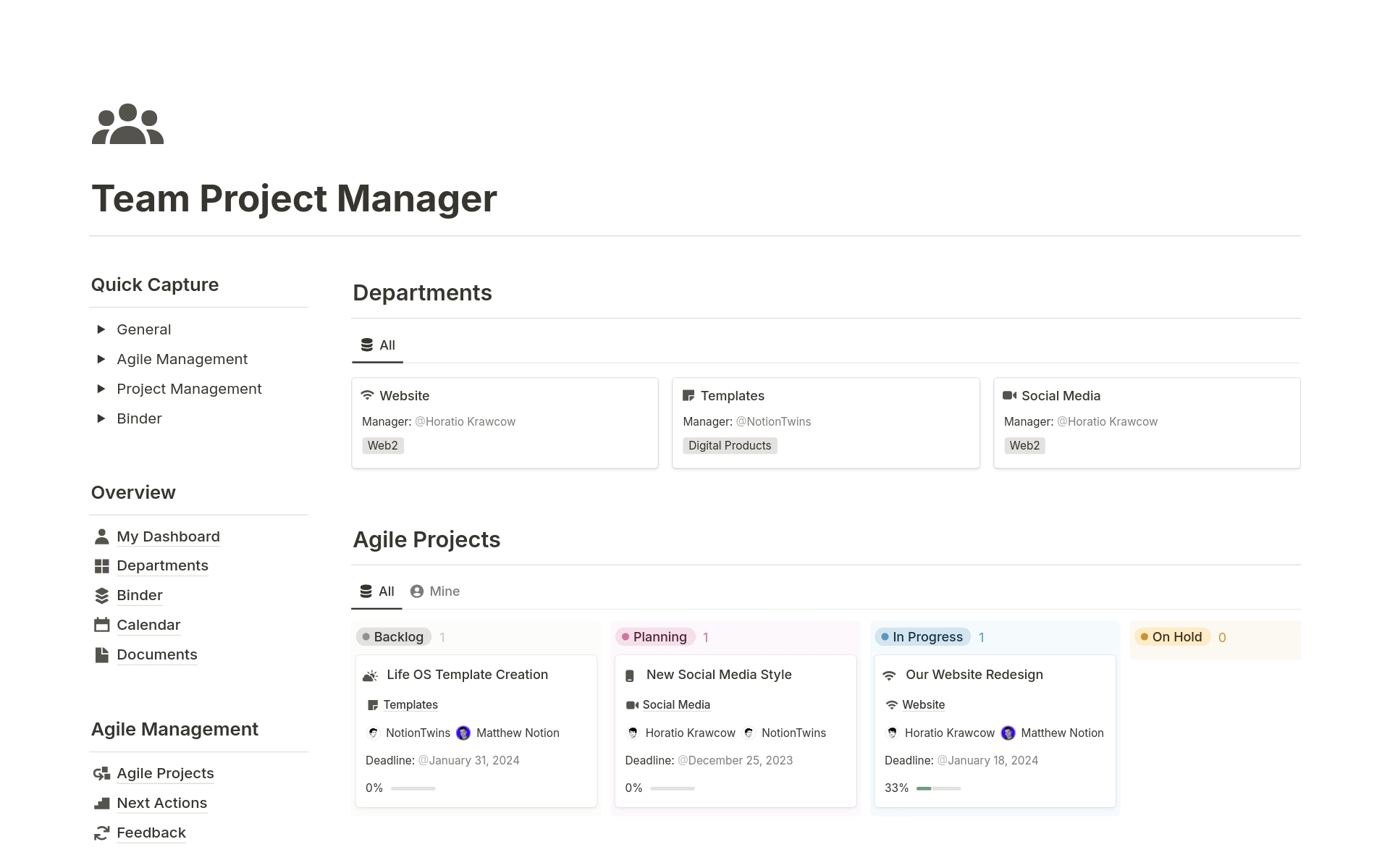 A template preview for Team Project Manager
