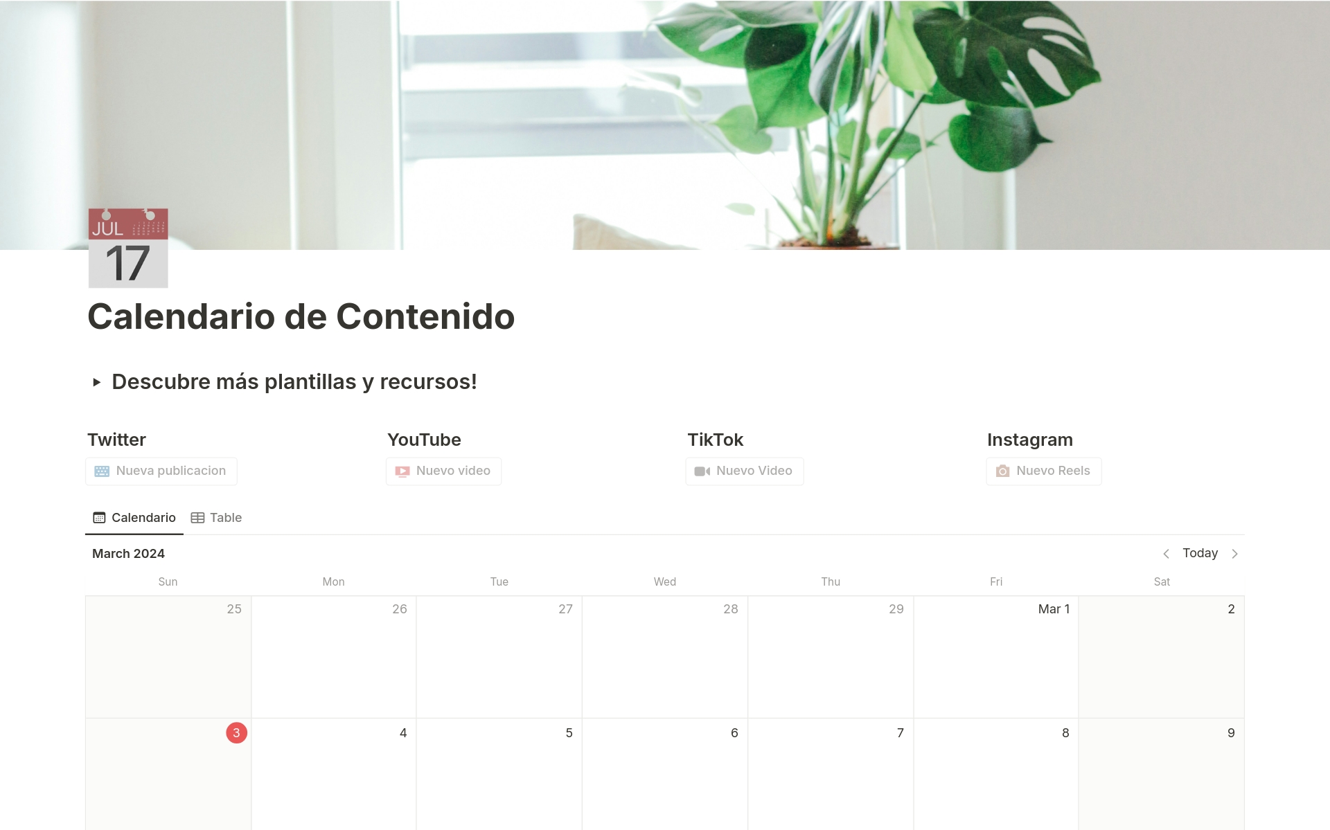 A template preview for Calendario de Contenido