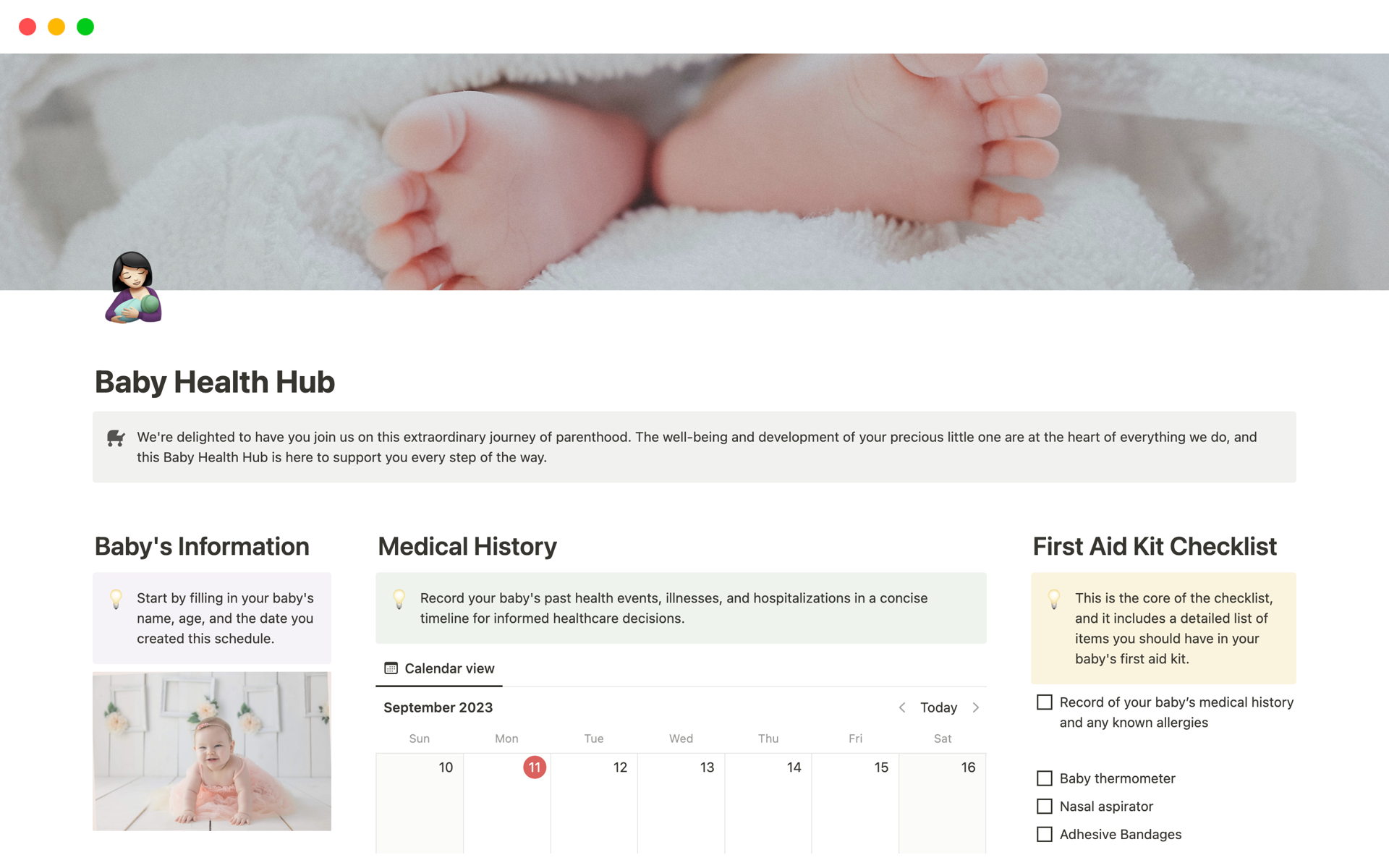 A template preview for Baby Health Hub