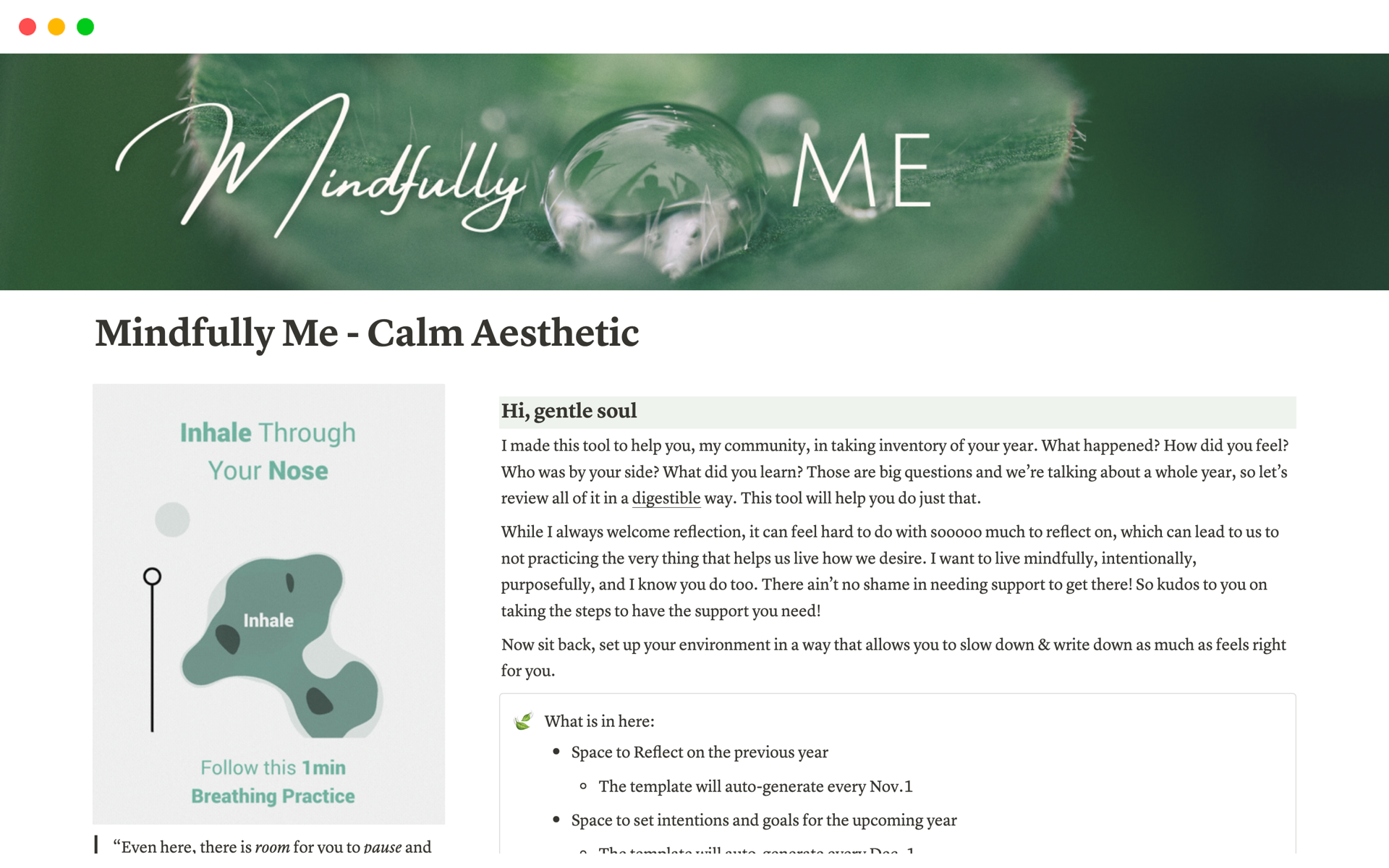 A template preview for Mindfully Me - Calm Aesthetic