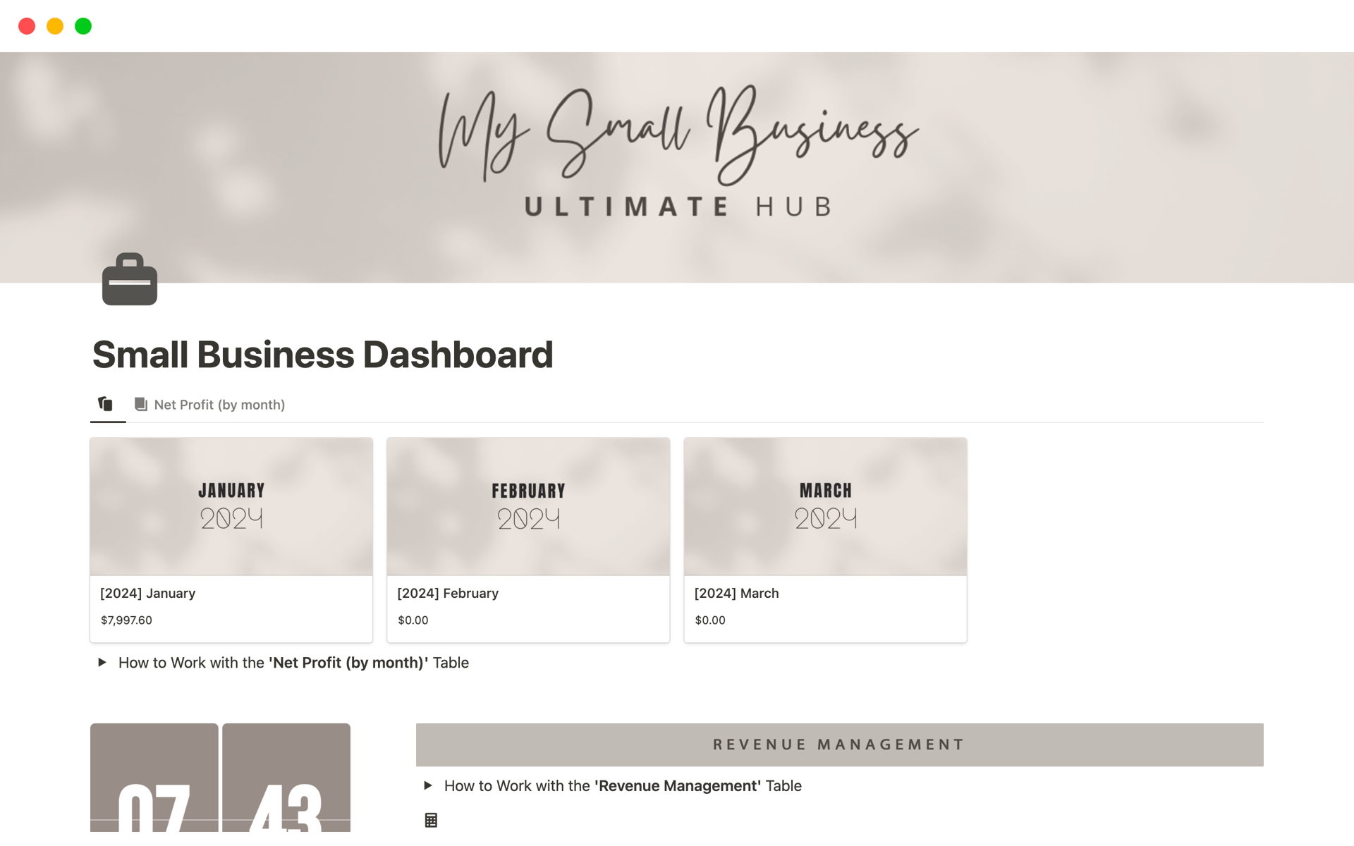 A template preview for Small Business Owner Dashboard | Finance Tracker